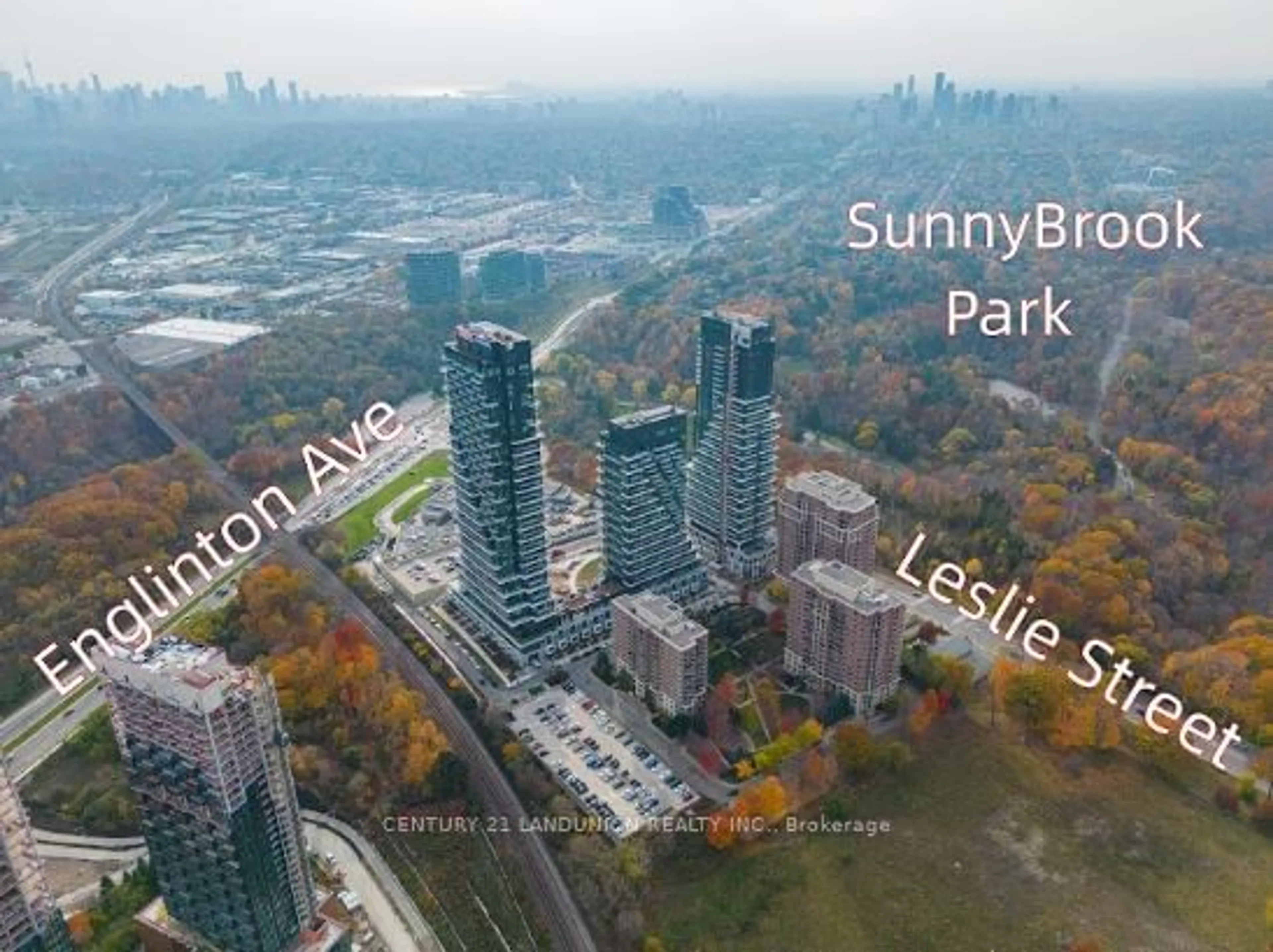 A pic from outside/outdoor area/front of a property/back of a property/a pic from drone, city buildings view from balcony for 30 Inn On The Park Dr #302, Toronto Ontario M3C 0P7