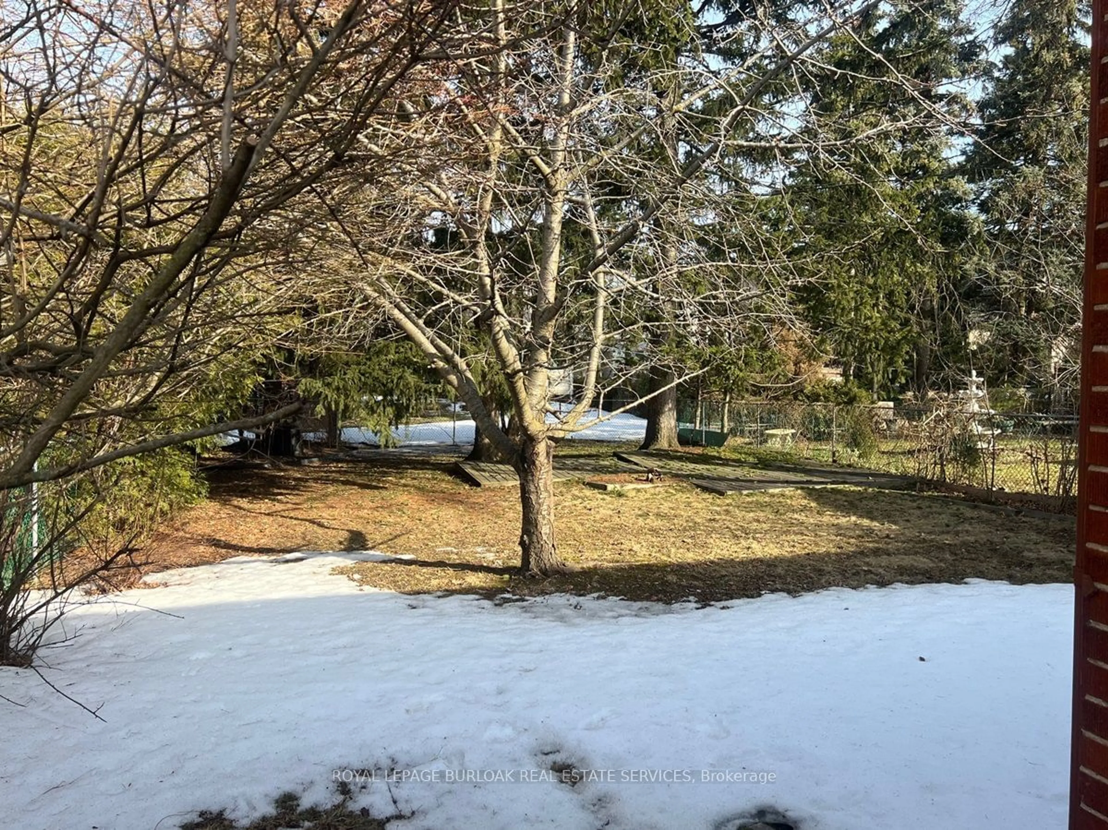 A pic from outside/outdoor area/front of a property/back of a property/a pic from drone, forest/trees view for 248 Florence Ave, Toronto Ontario M2N 1G6