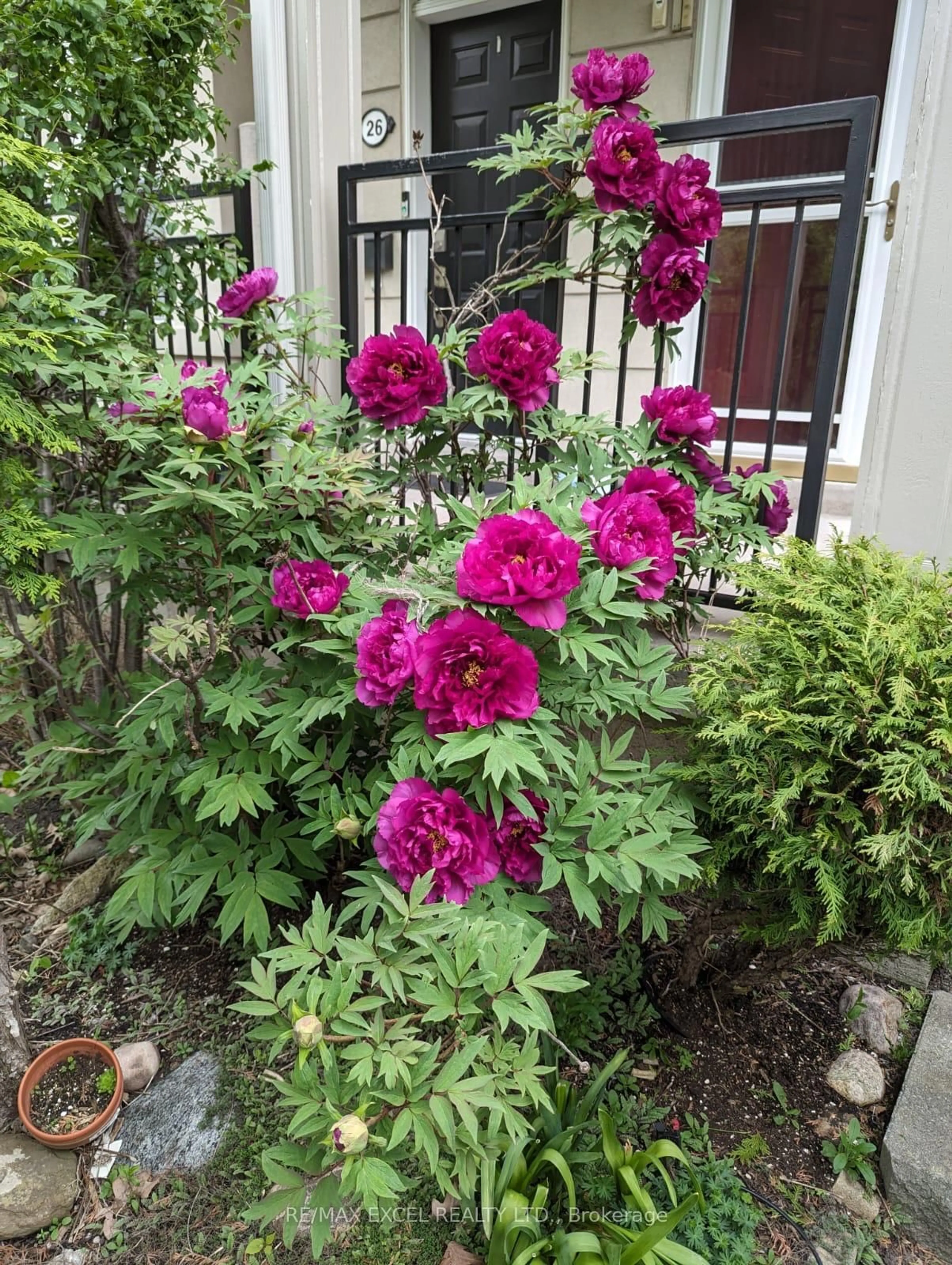 Patio, street for 28 Bond Ave, Toronto Ontario M3B 3R8