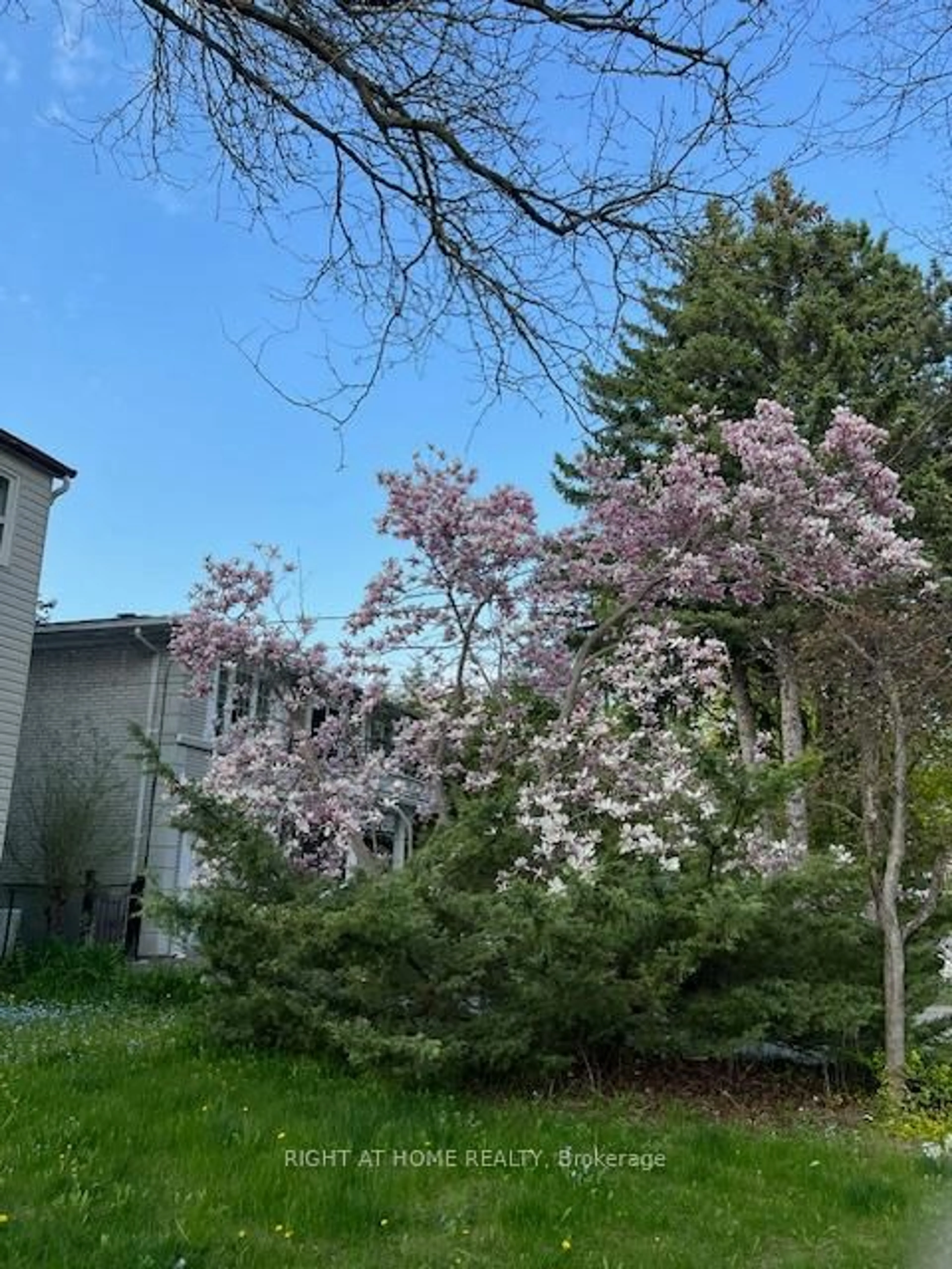 A pic from outside/outdoor area/front of a property/back of a property/a pic from drone, street for 144 Wedgewood Dr, Toronto Ontario M2M 2H7