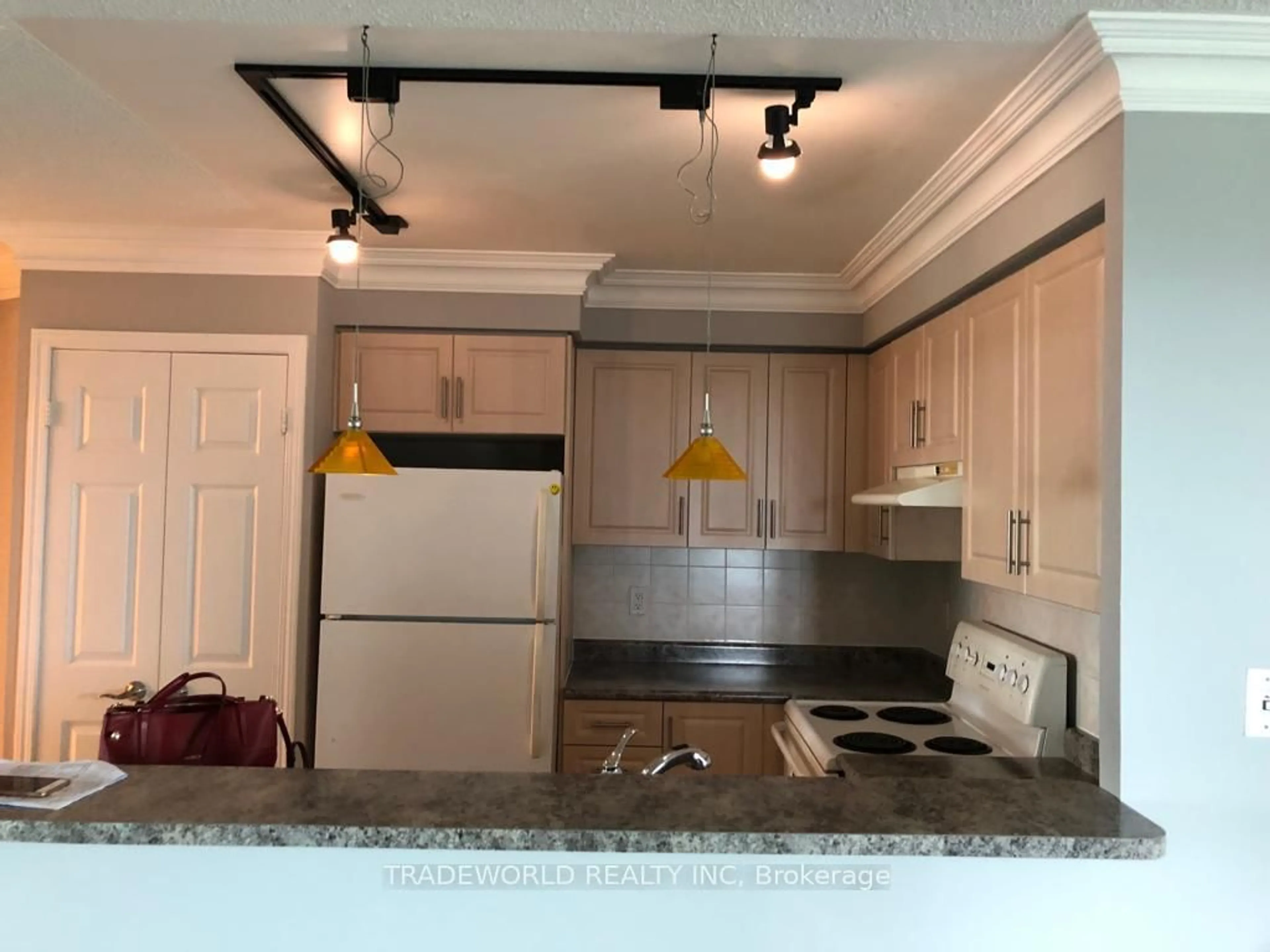 Standard kitchen, unknown for 7 Lorraine Dr #1505, Toronto Ontario M2N 7H2