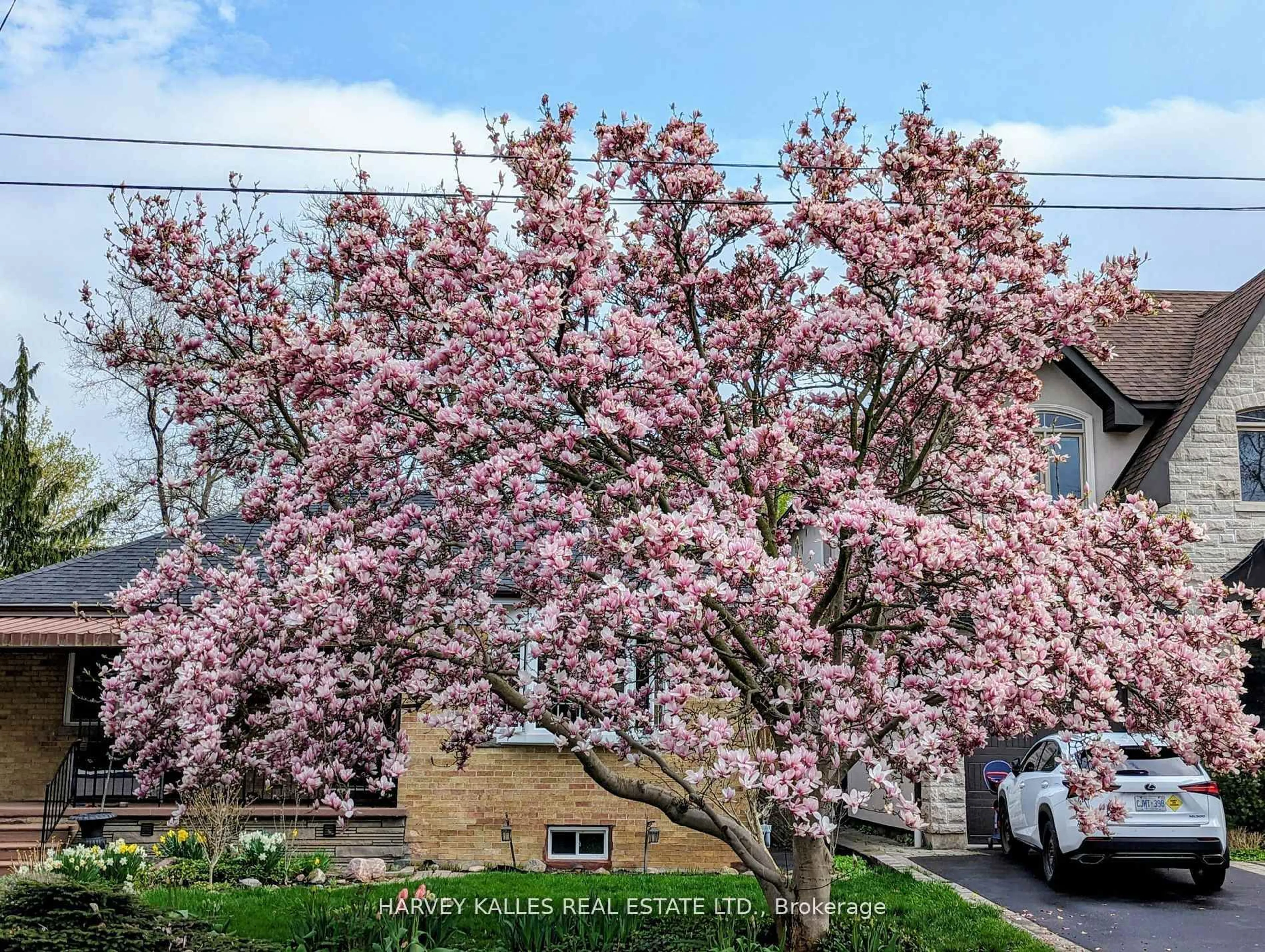 Unknown for 371 Hounslow Ave, Toronto Ontario M2R 1H7