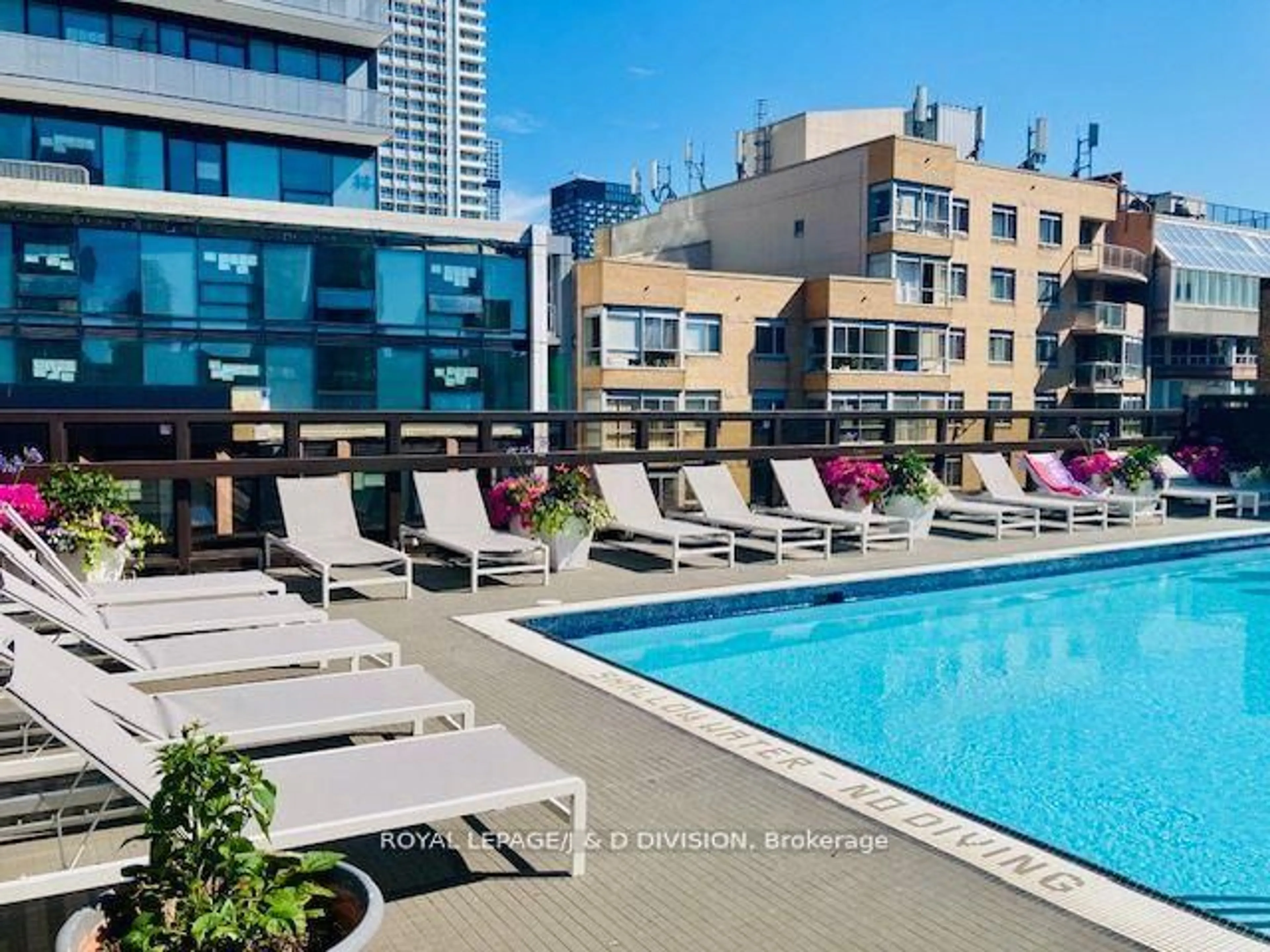Pool for 55 Lombard St #204, Toronto Ontario M5C 2R7