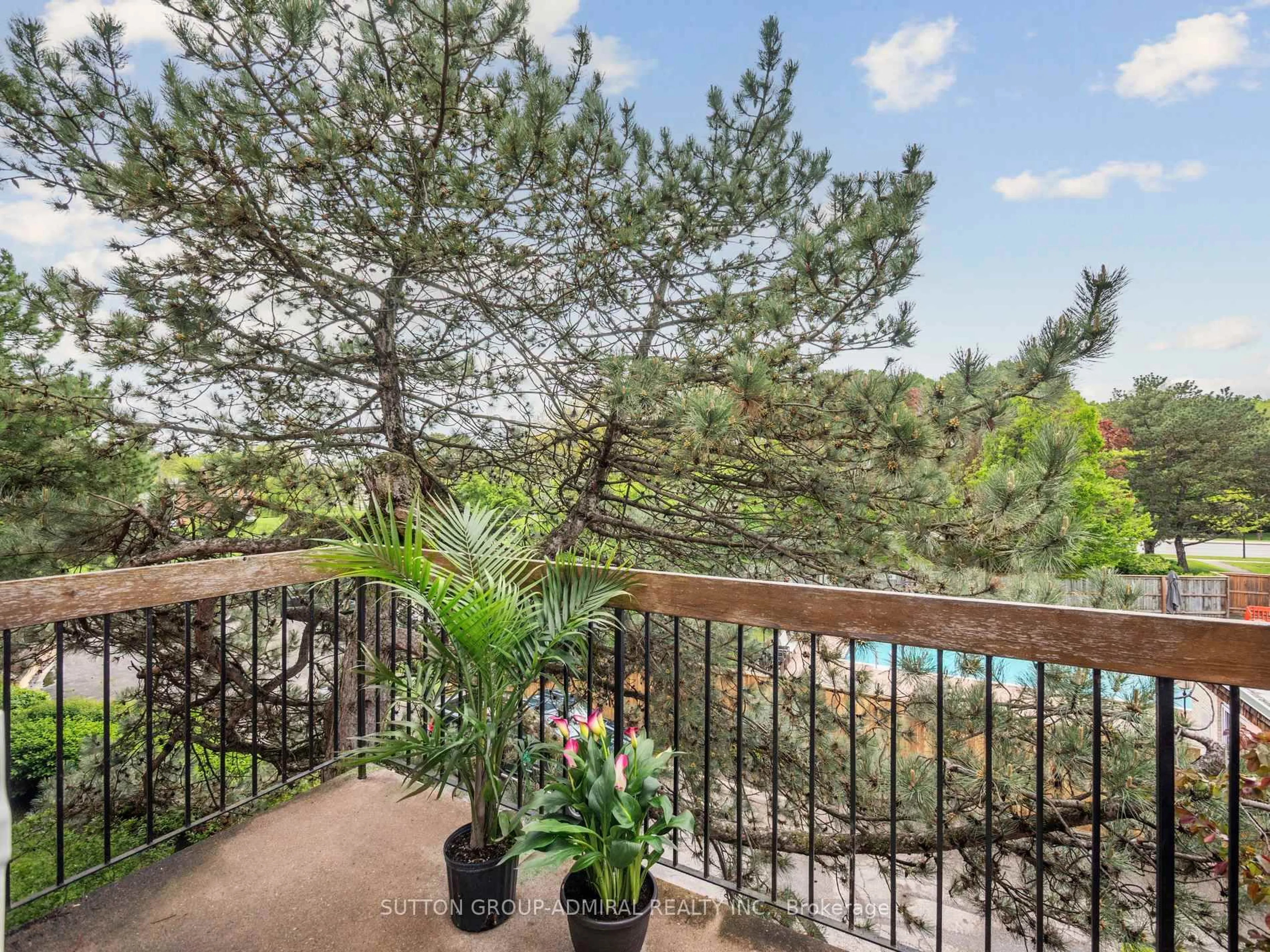 Patio, forest/trees view for 24 Anvil Millway, Toronto Ontario M2L 1R1
