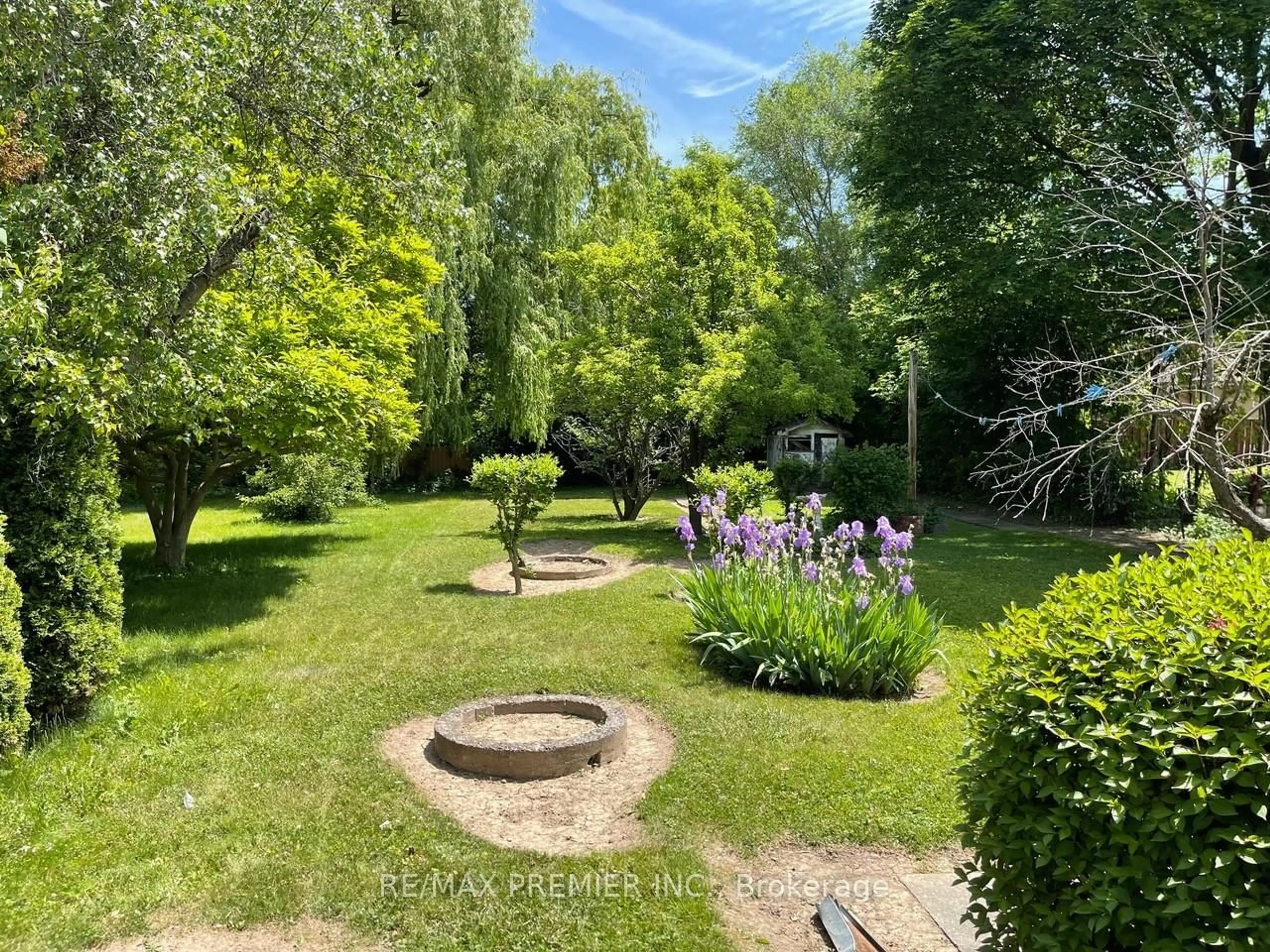 A pic from outside/outdoor area/front of a property/back of a property/a pic from drone, forest/trees view for 1041 Willowdale Ave, Toronto Ontario M2M 3E3