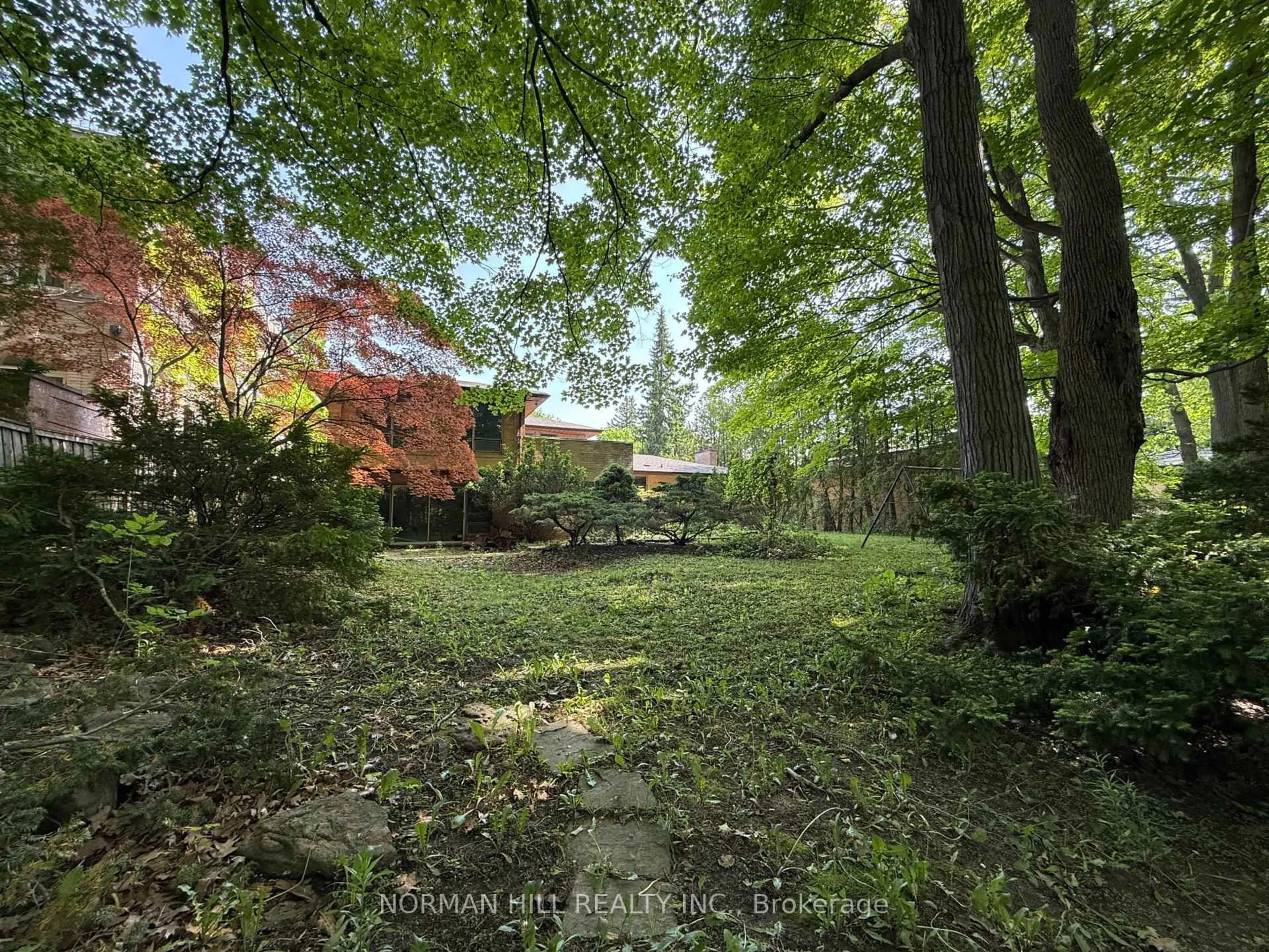 A pic from outside/outdoor area/front of a property/back of a property/a pic from drone, forest/trees view for 49 Timberlane Dr, Toronto Ontario M3H 1J3