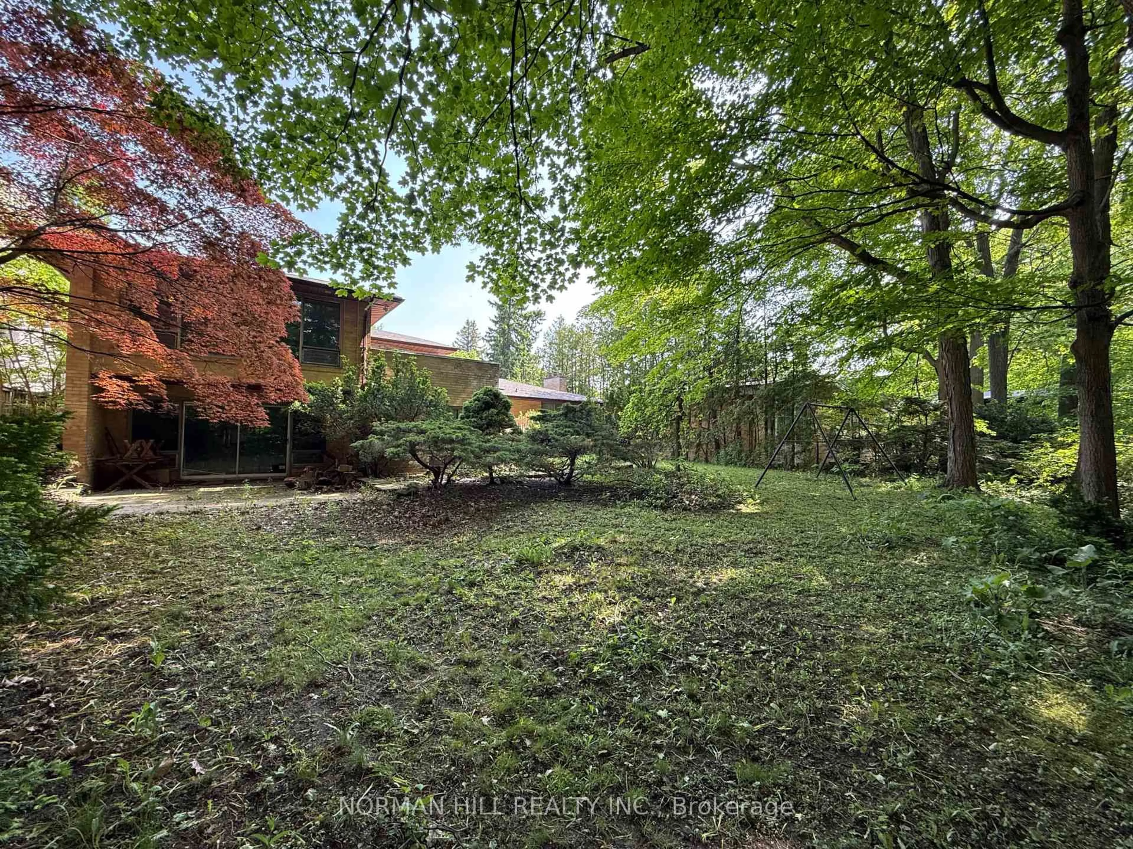 A pic from outside/outdoor area/front of a property/back of a property/a pic from drone, forest/trees view for 49 Timberlane Dr, Toronto Ontario M3H 1J3