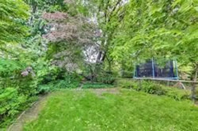 Additional property image - 523 Soudan Ave