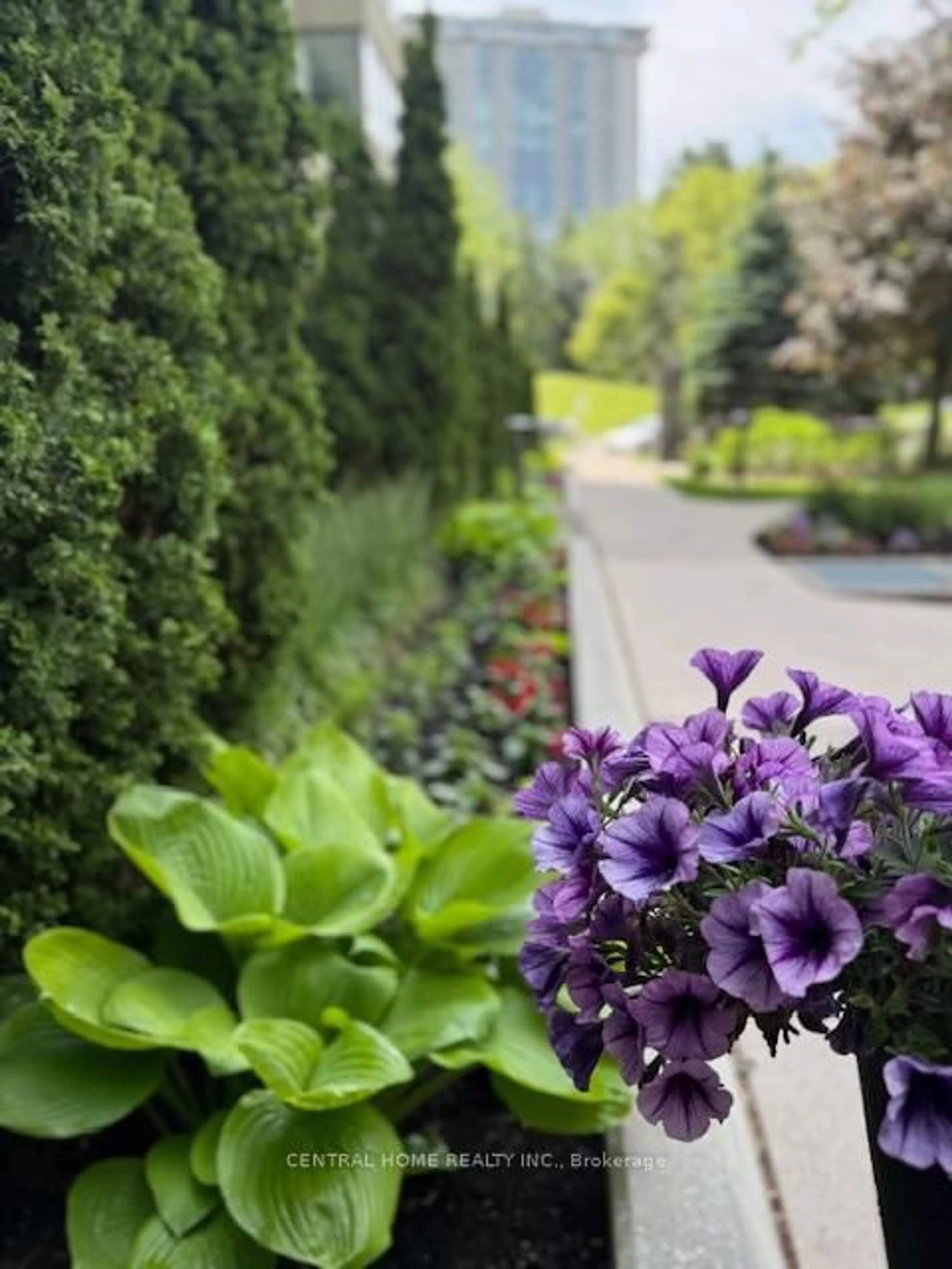 Patio, street for 55 Skymark Dr #605, Toronto Ontario M2H 3N4