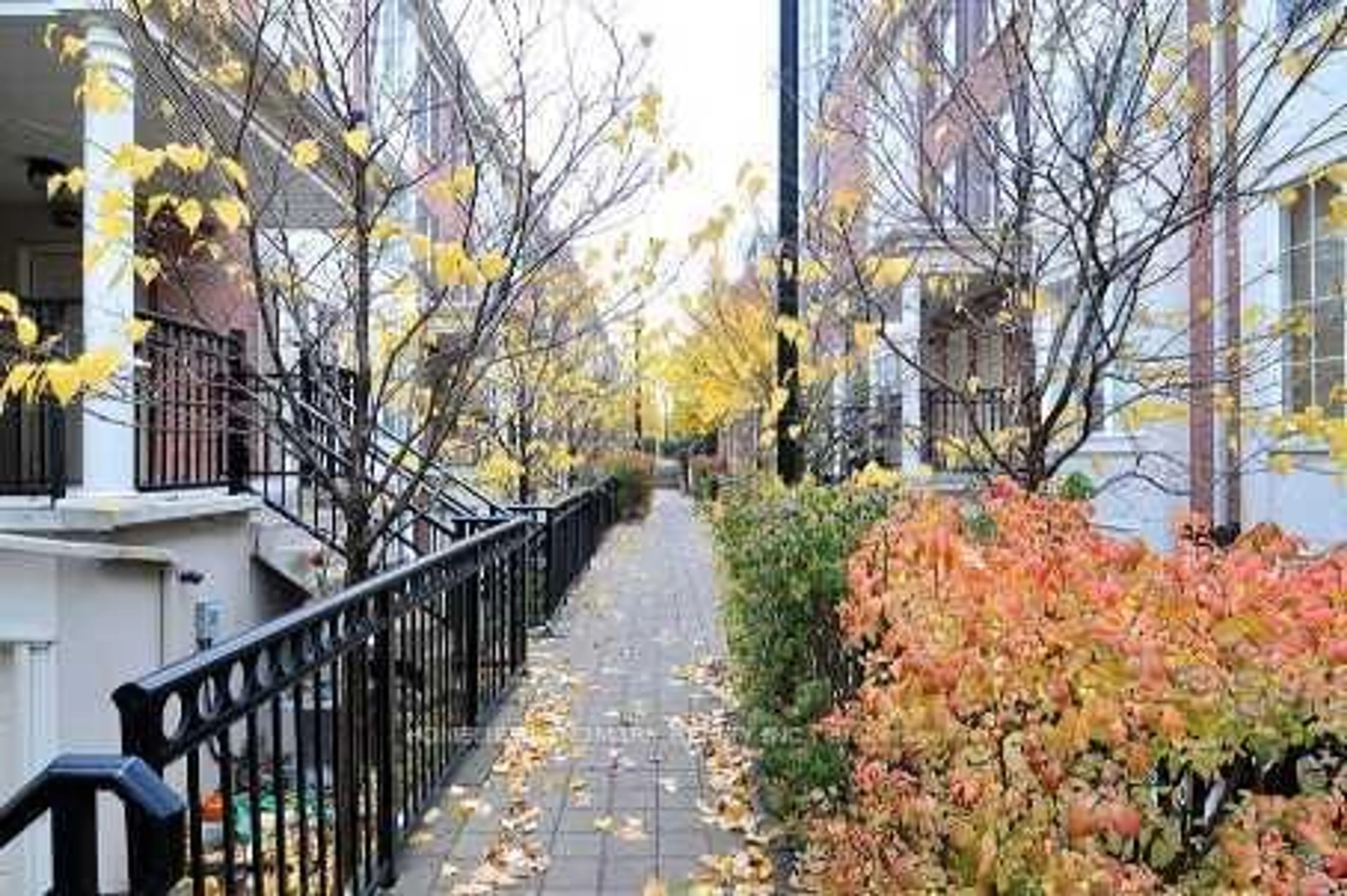 Patio, street for 5 Everson Dr #1549, Toronto Ontario M2N 7C3