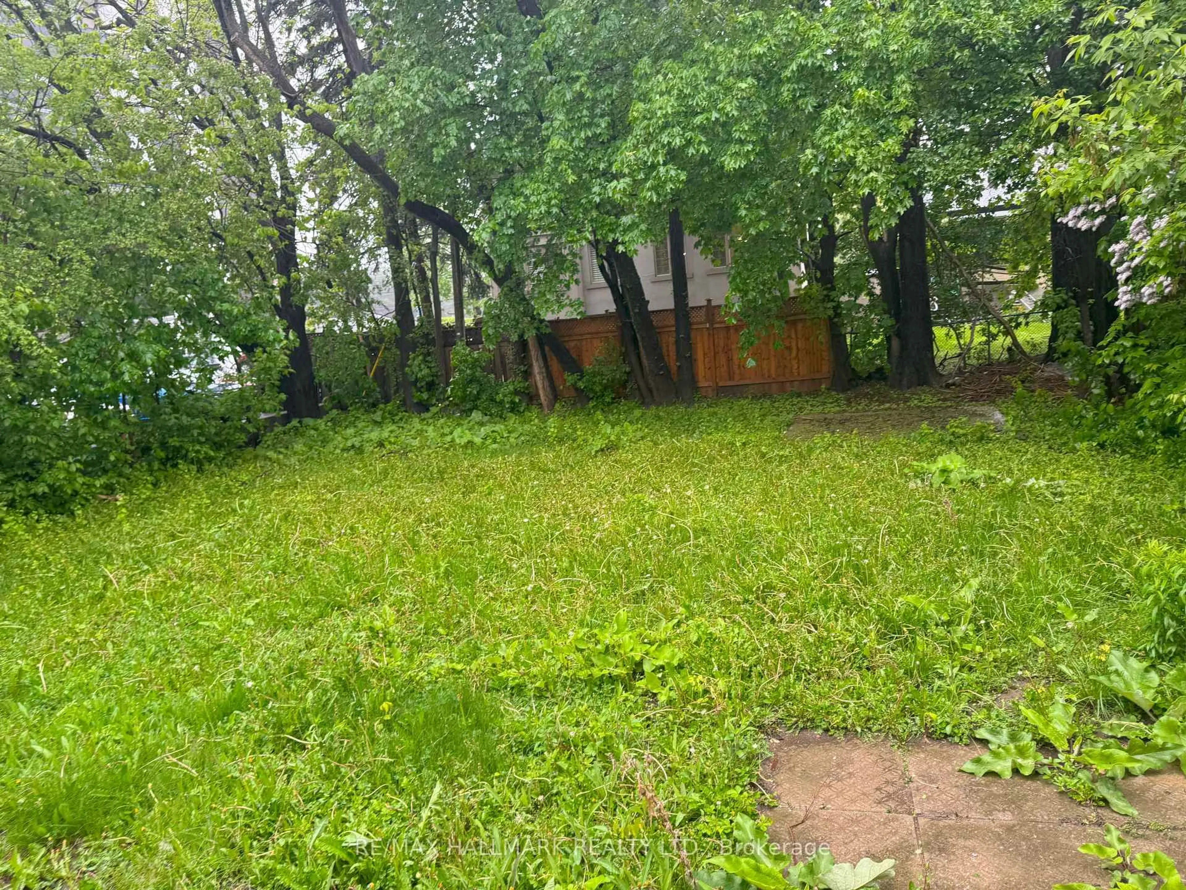 Shed for 146 Bannockburn Ave, Toronto Ontario M5M 2N5