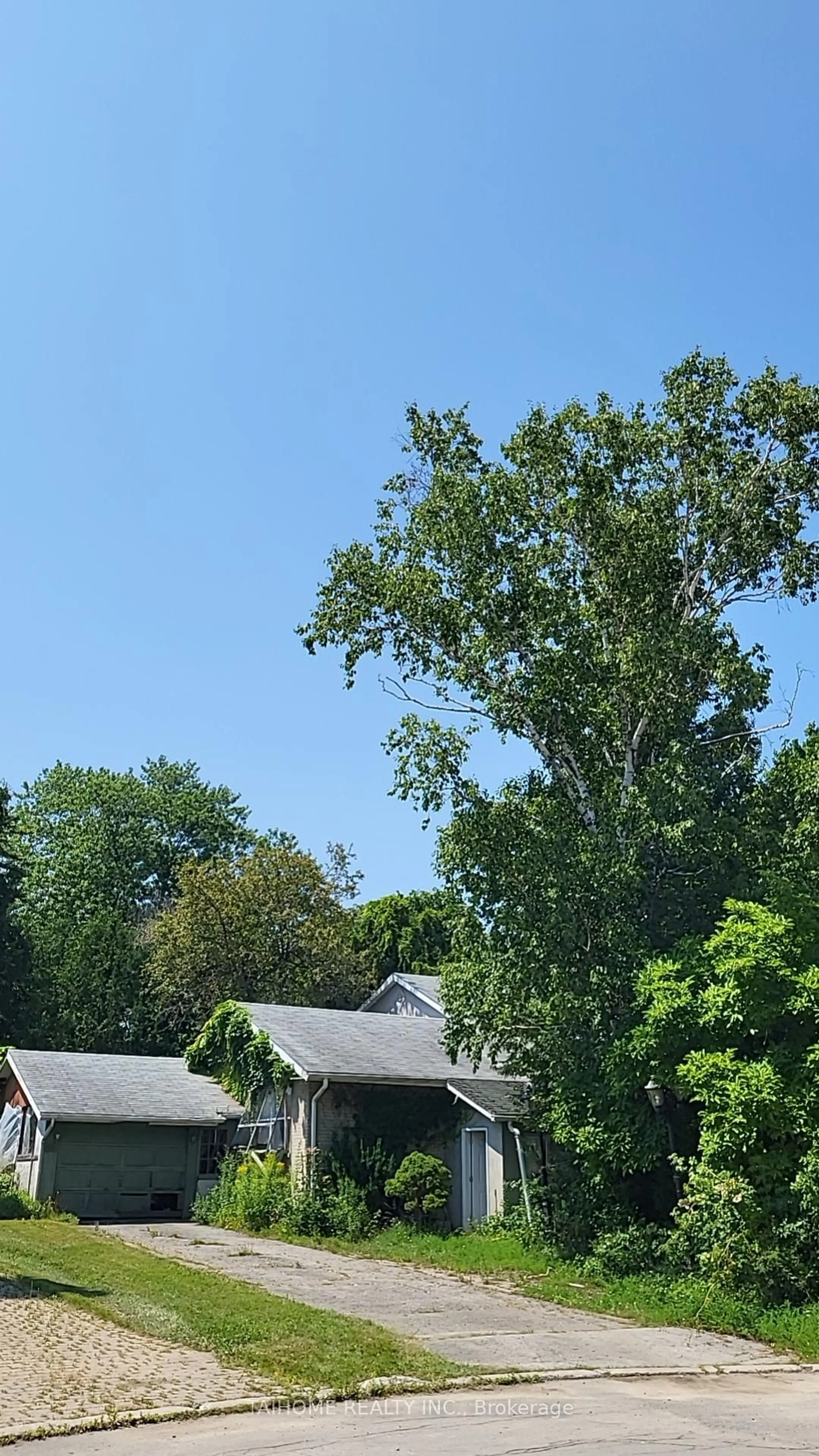 A pic from outside/outdoor area/front of a property/back of a property/a pic from drone, forest/trees view for 15 Merredin Pl, Toronto Ontario M3B 1S7