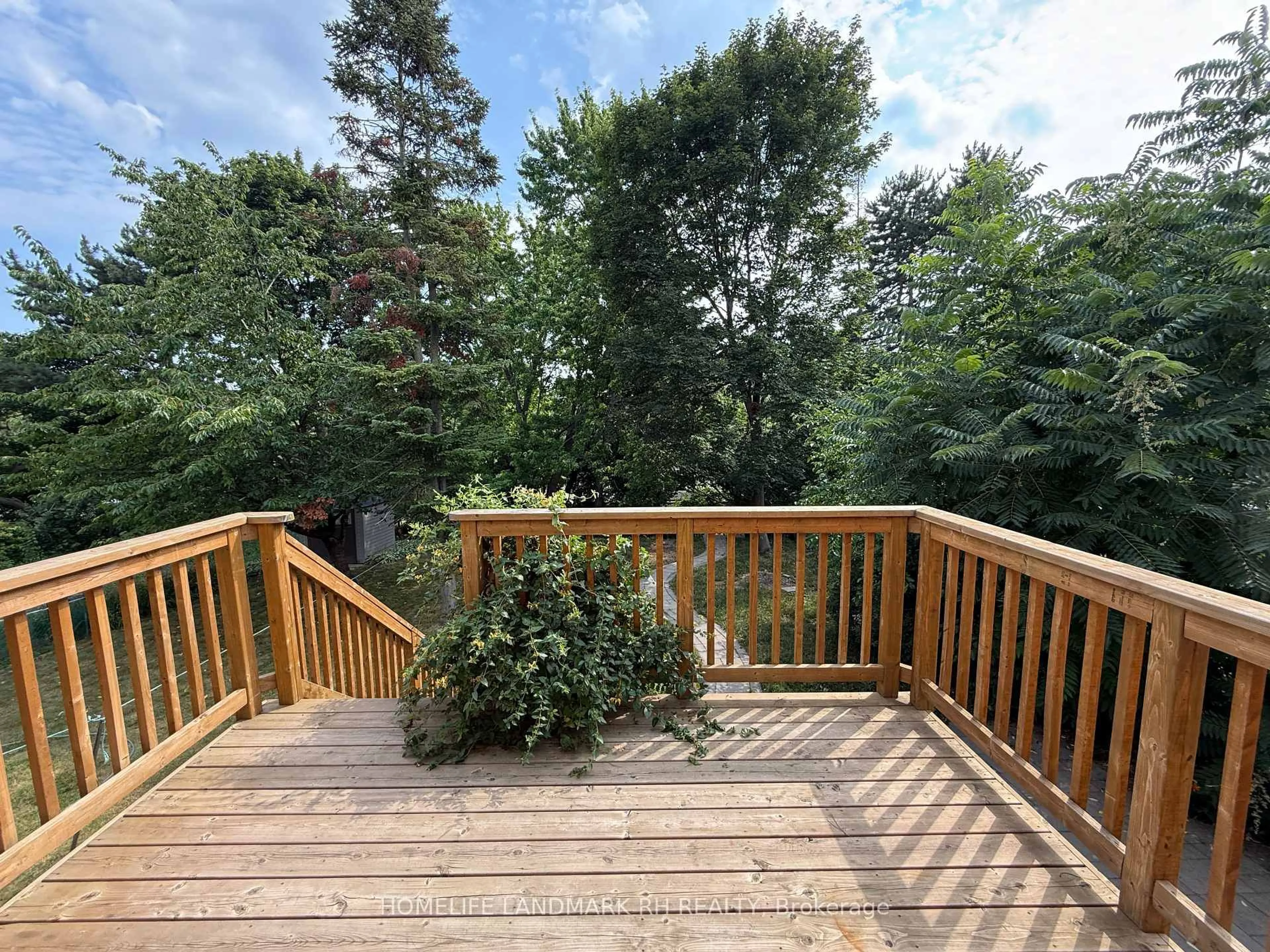 Patio, forest/trees view for 100 Micmac Cres, Toronto Ontario M2H 2K2