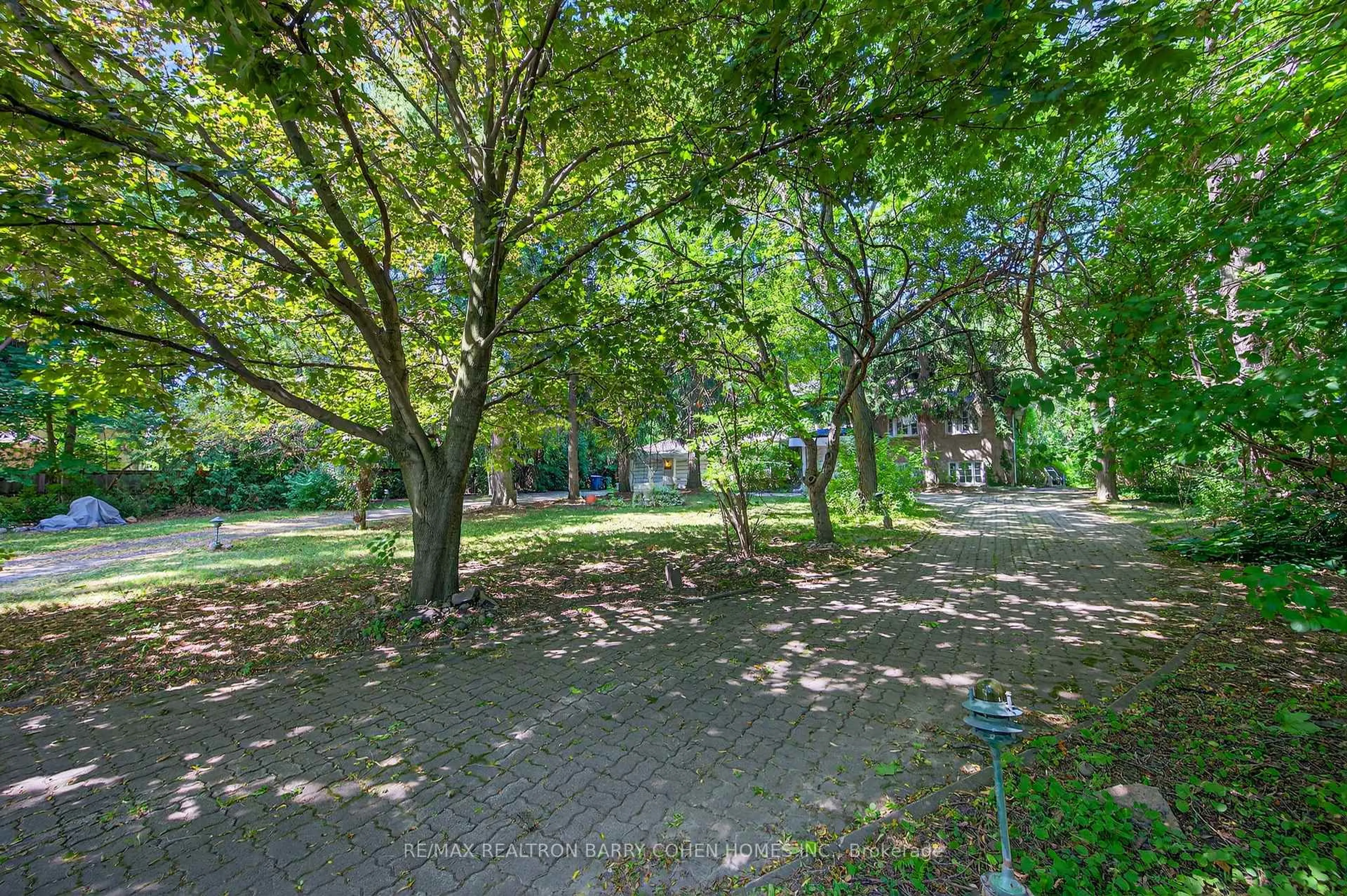 Patio, forest/trees view for 2472 Bayview Ave, Toronto Ontario M2L 1A7