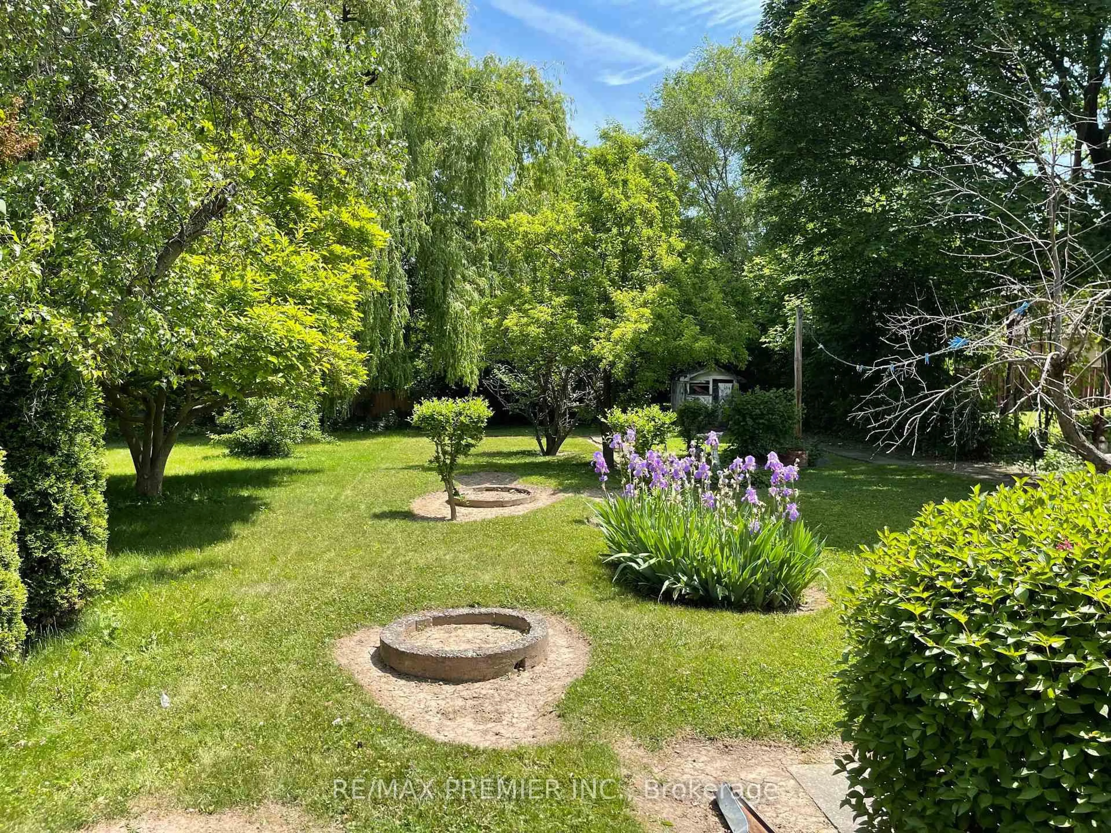 A pic from outside/outdoor area/front of a property/back of a property/a pic from drone, forest/trees view for 1041 Willowdale Ave, Toronto Ontario M2M 3E3