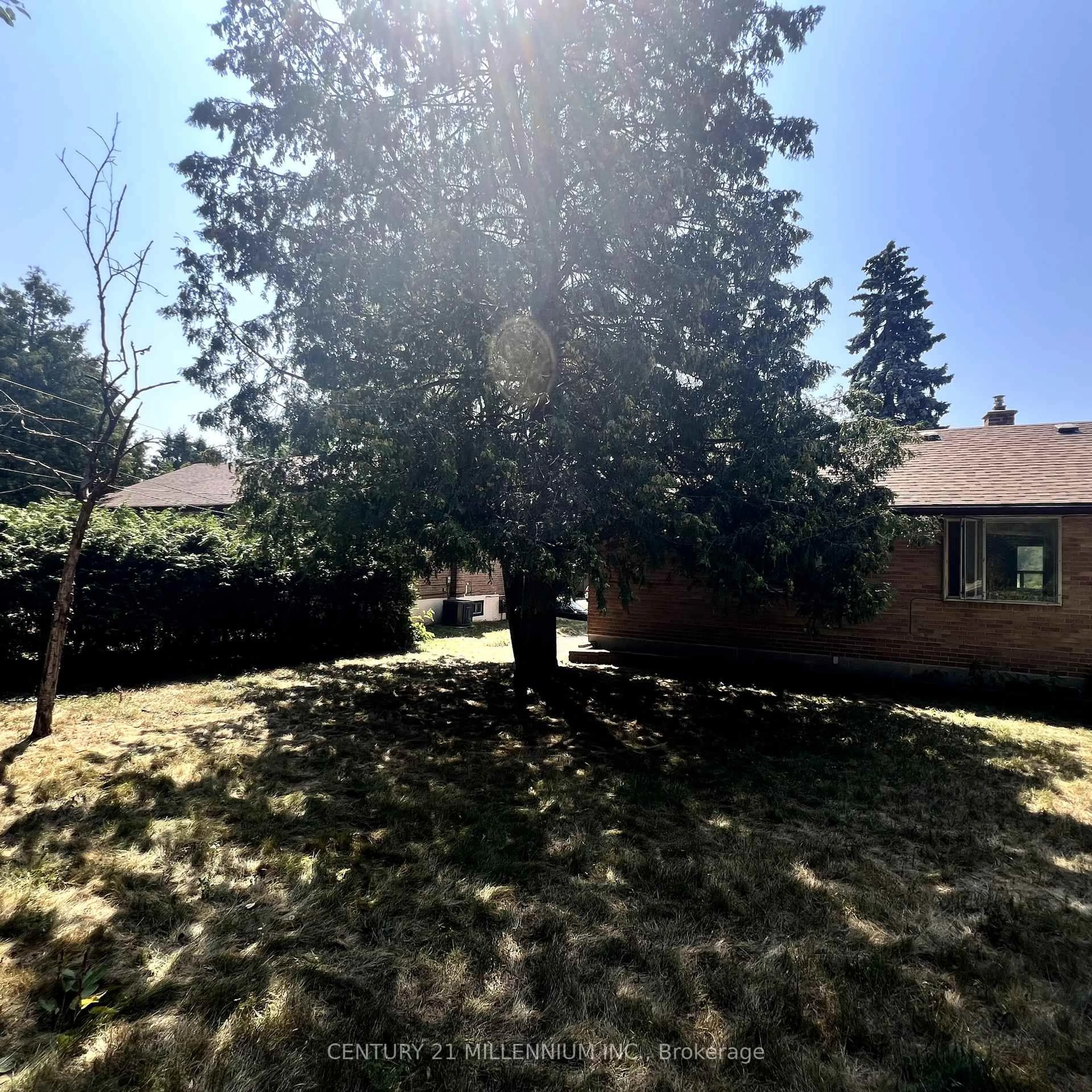 A pic from outside/outdoor area/front of a property/back of a property/a pic from drone, forest/trees view for 171 Cottonwood Dr, Toronto Ontario M3C 2B3