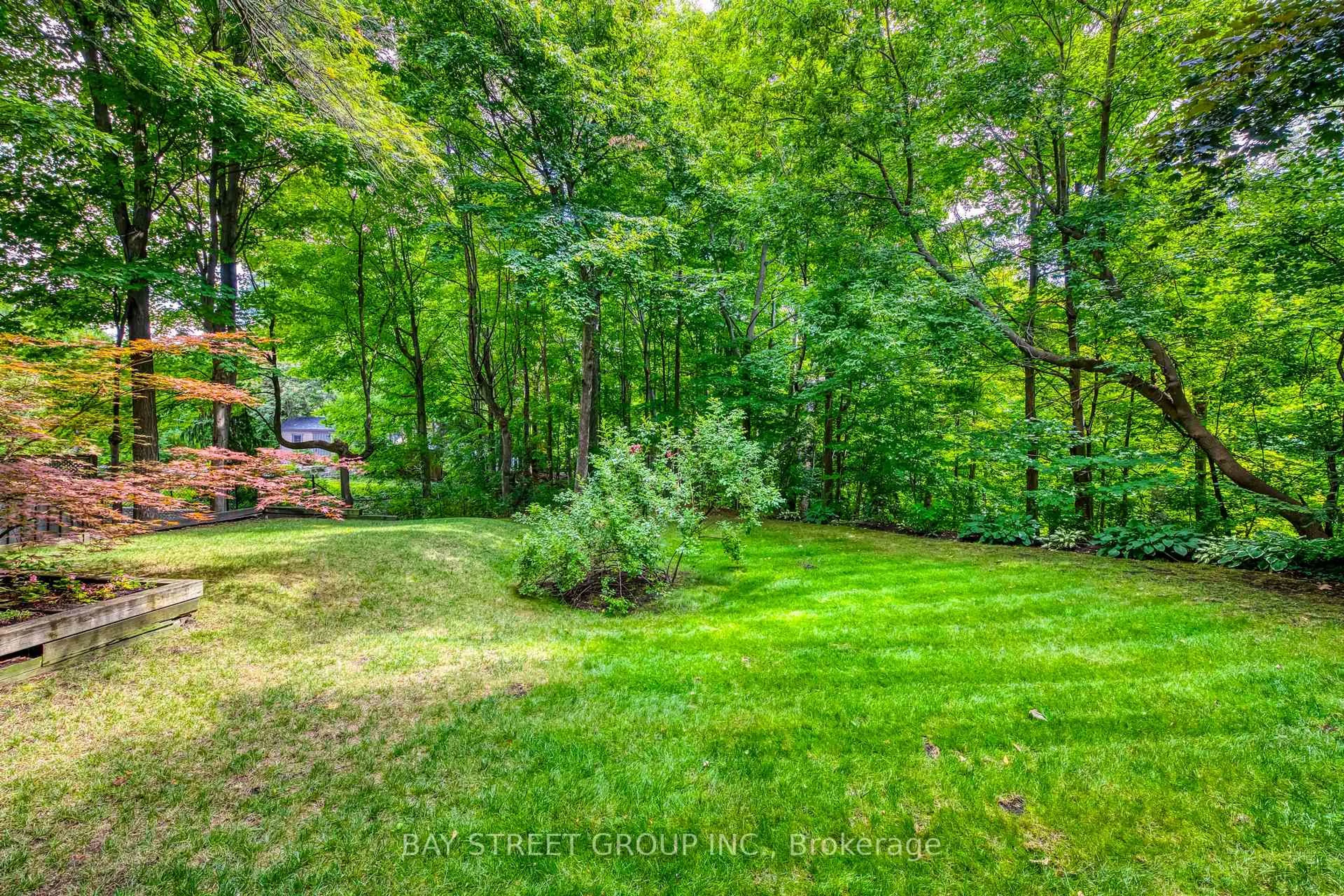 A pic from outside/outdoor area/front of a property/back of a property/a pic from drone, forest/trees view for 7 Mylesview Pl, Toronto Ontario M2N 2M7