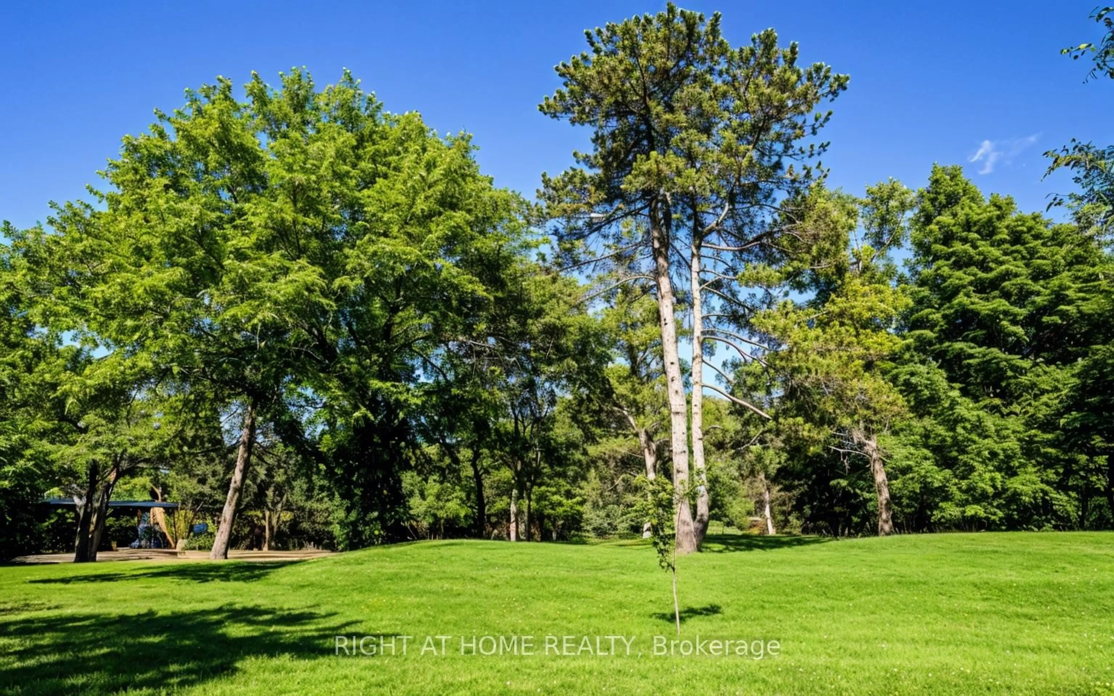 A pic from outside/outdoor area/front of a property/back of a property/a pic from drone, forest/trees view for 33 Post Rd, Toronto Ontario M3B 1J1