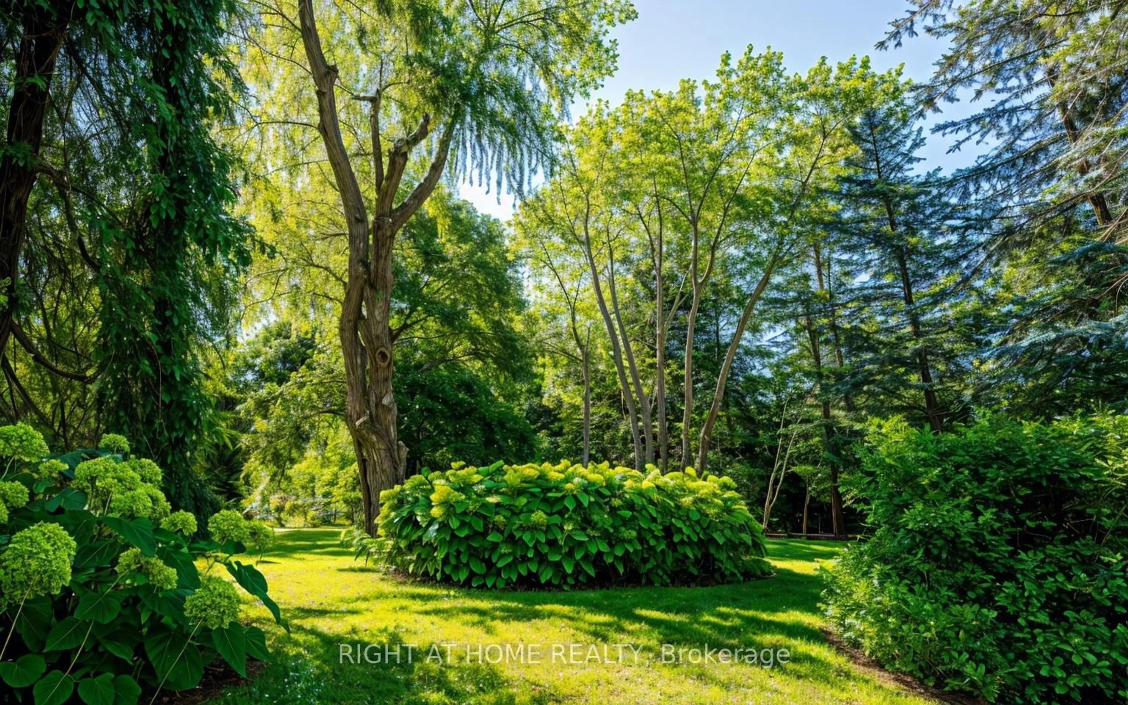 Patio, forest/trees view for 33 Post Rd, Toronto Ontario M3B 1J1