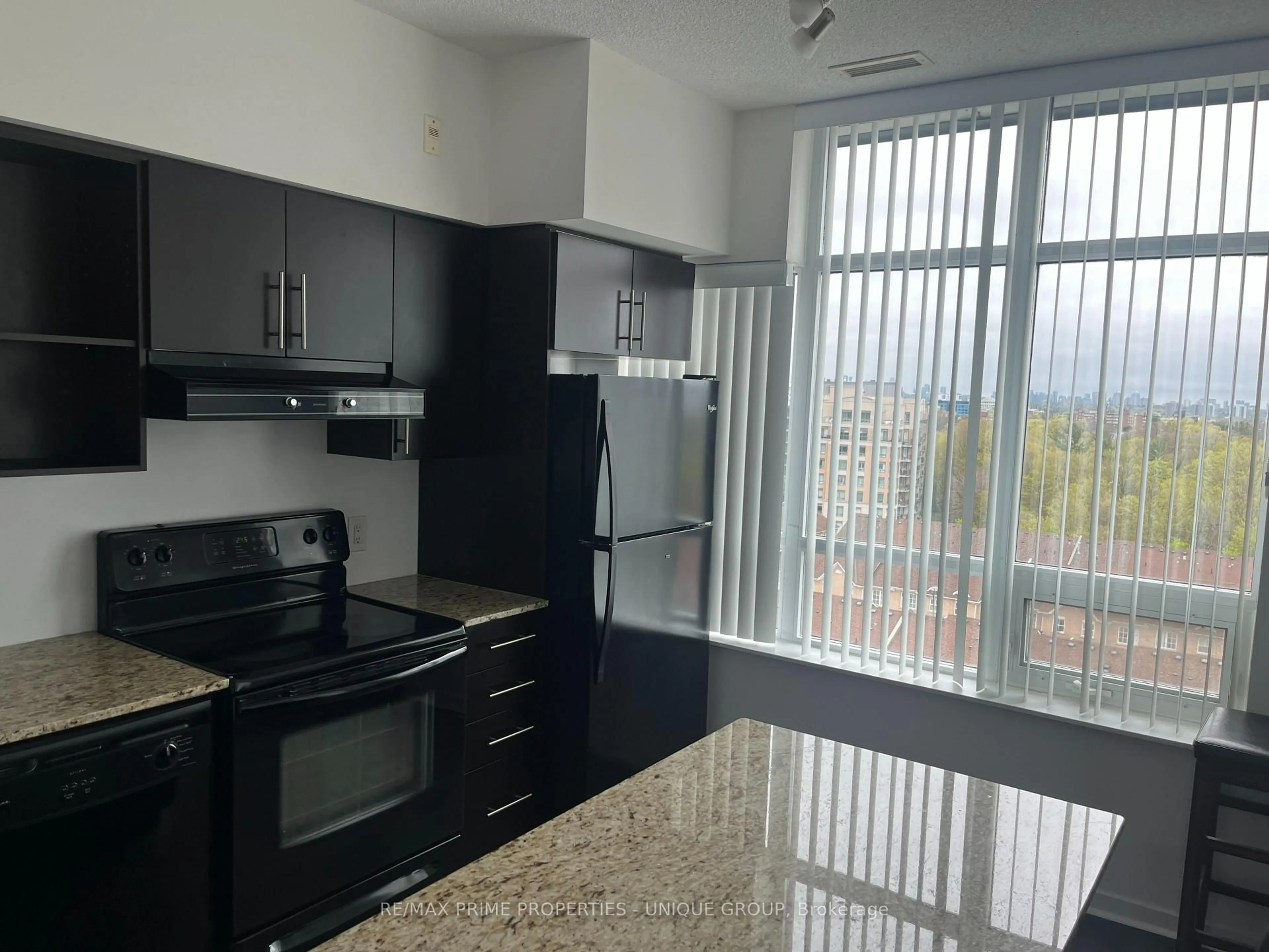 Standard kitchen, unknown for 120 Dallimore Circ #907, Toronto Ontario M3C 4J1