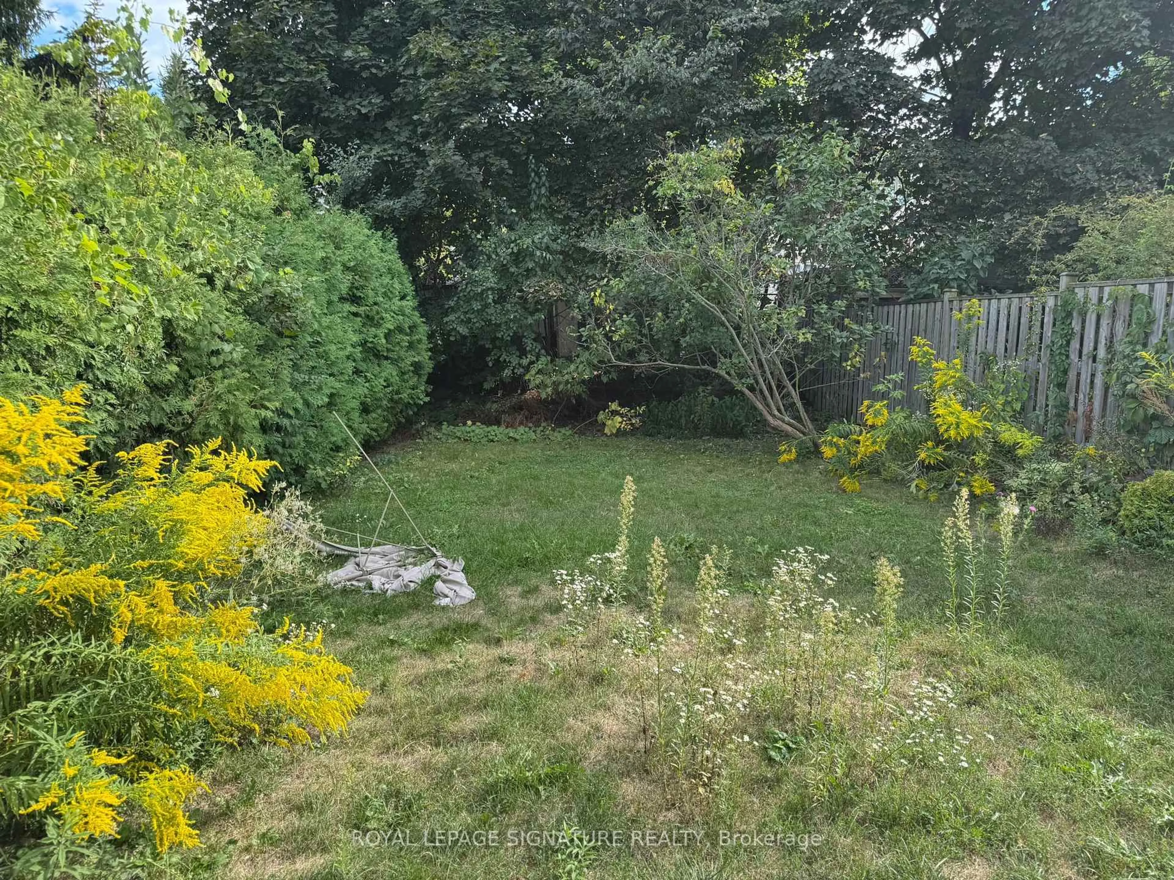 A pic from outside/outdoor area/front of a property/back of a property/a pic from drone, forest/trees view for 215 Woodsworth Rd, Toronto Ontario M2L 2T5