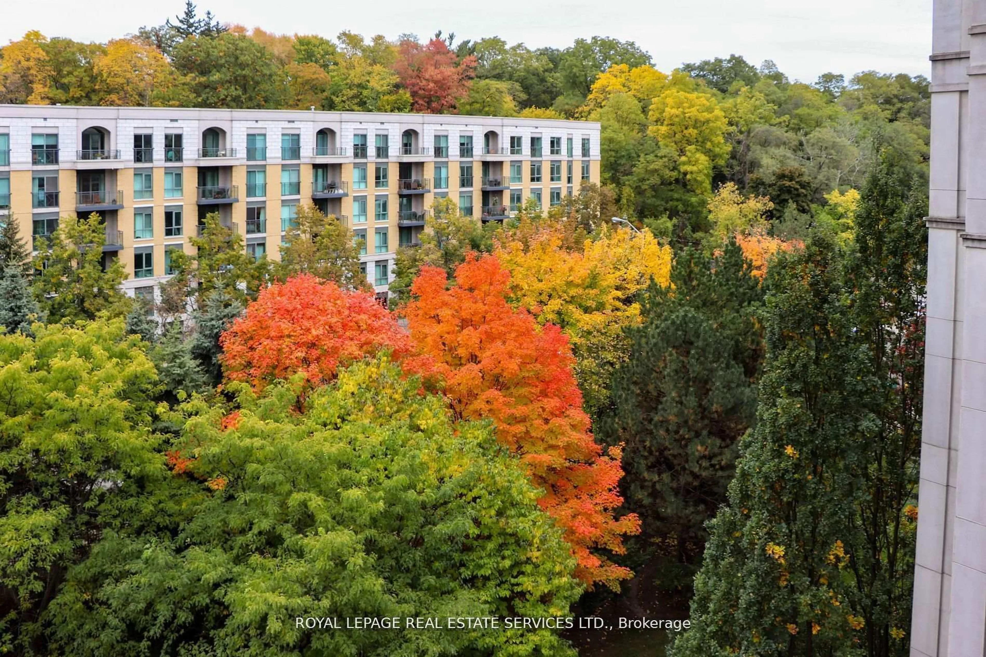 A pic from outside/outdoor area/front of a property/back of a property/a pic from drone, forest/trees view for 18 William Carson Cres #811, Toronto Ontario M2P 2G6