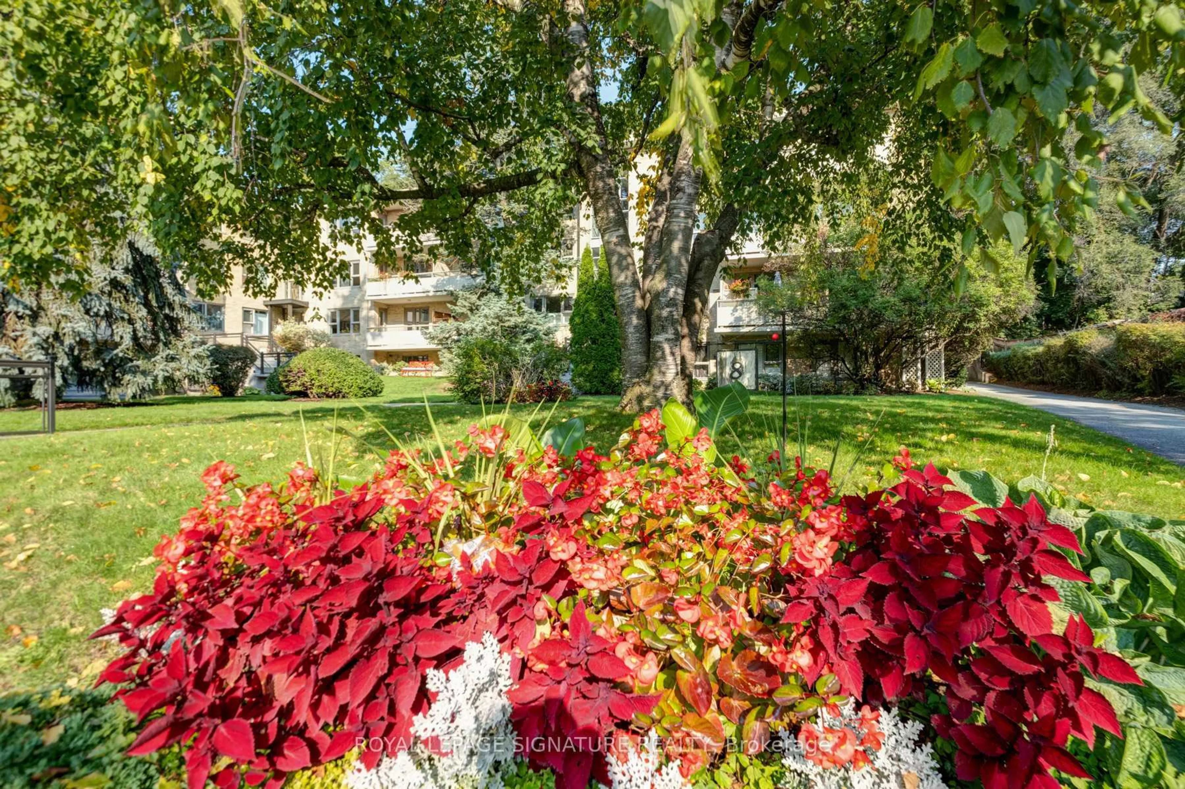 Patio, street for 8 Corinth Gdns #3, Toronto Ontario M4P 2N5