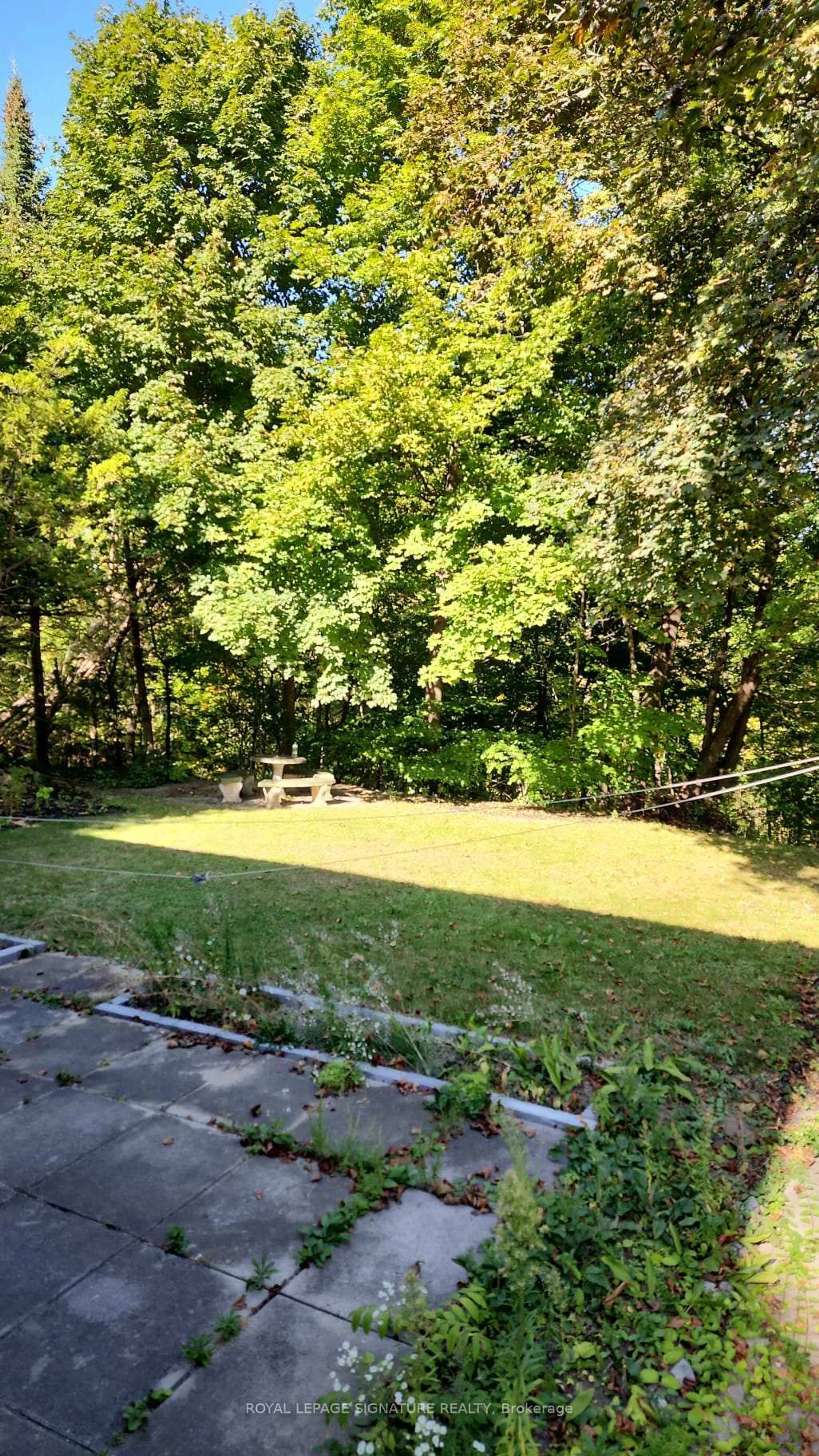 A pic from outside/outdoor area/front of a property/back of a property/a pic from drone, forest/trees view for 209 Burbank Dr, Toronto Ontario M2K 1P5