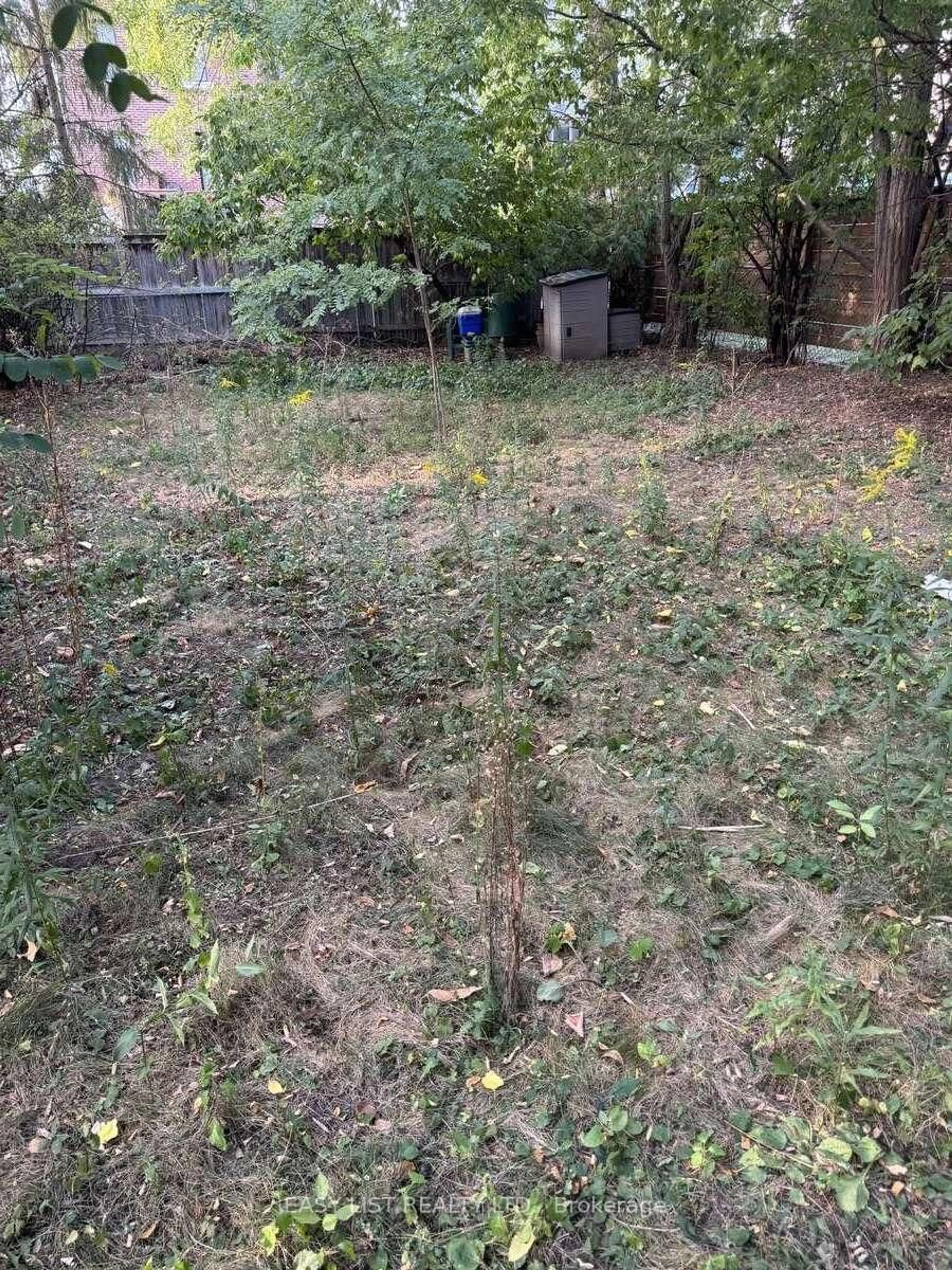 Blurry image for 170 Haddington Ave, Toronto Ontario M5M 2P6