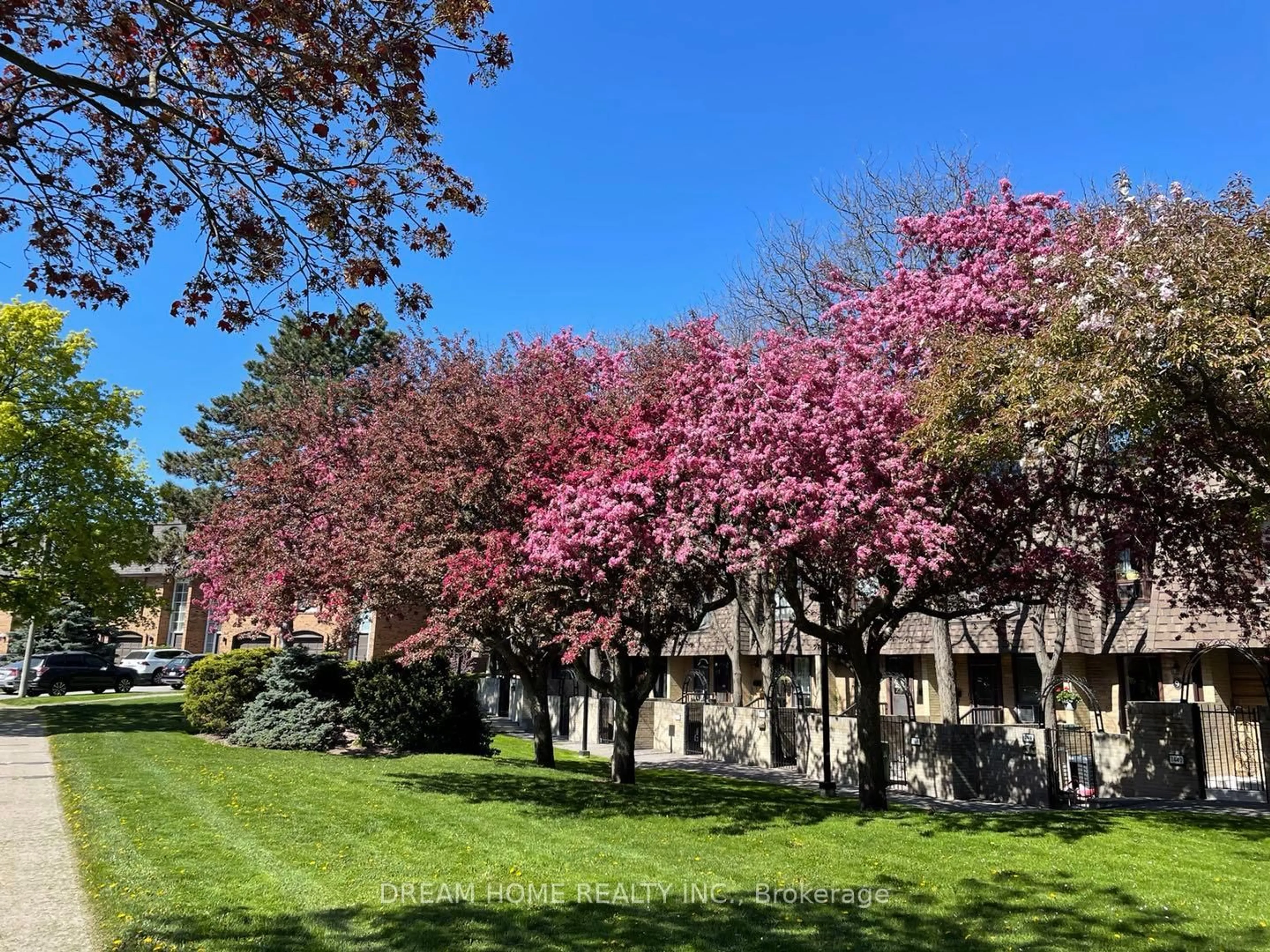 A pic from outside/outdoor area/front of a property/back of a property/a pic from drone, street for 74 Upper Canada Dr #6, Toronto Ontario M2P 2A3