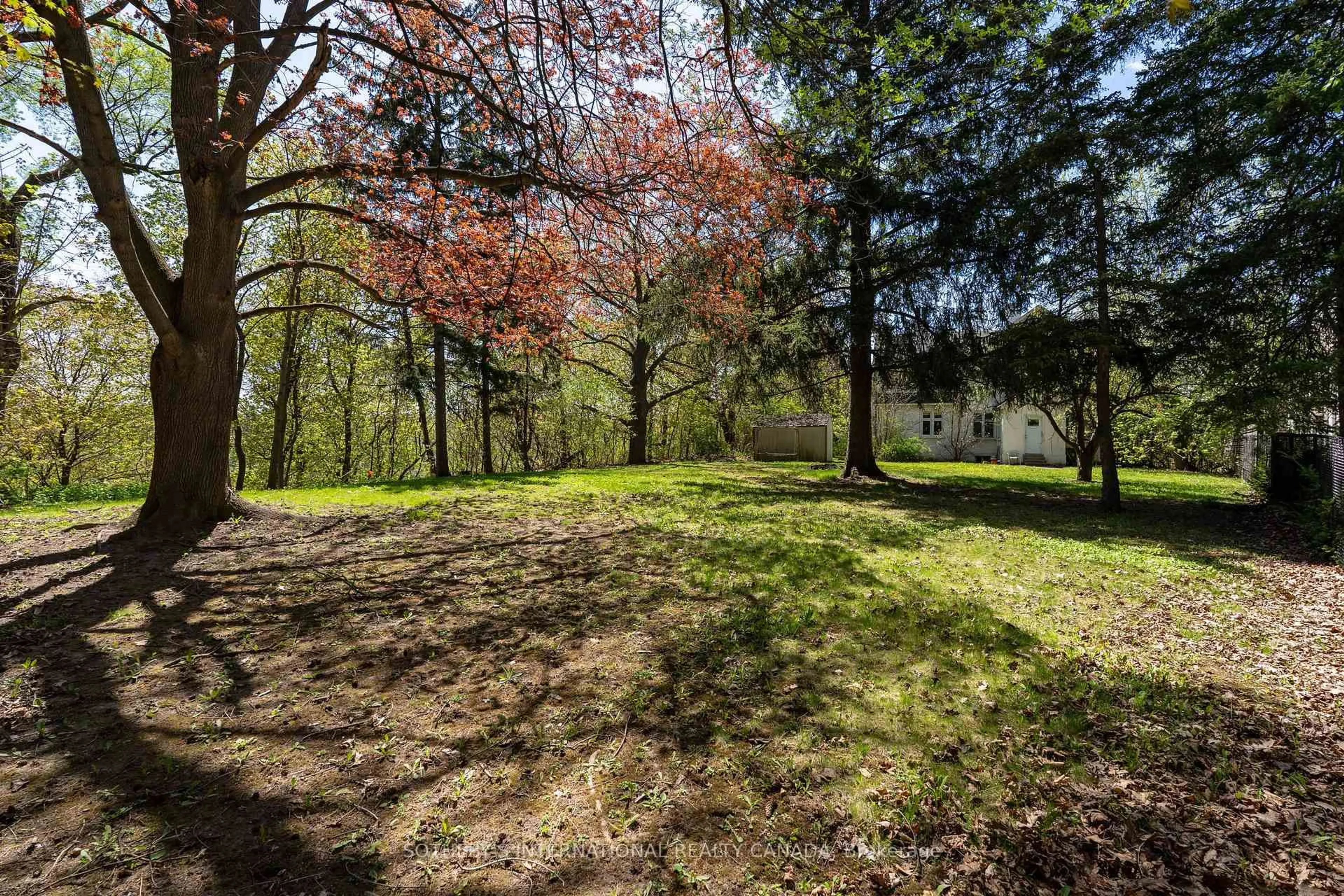 A pic from outside/outdoor area/front of a property/back of a property/a pic from drone, forest/trees view for 27 Old Yonge St, Toronto Ontario M2P 1P6