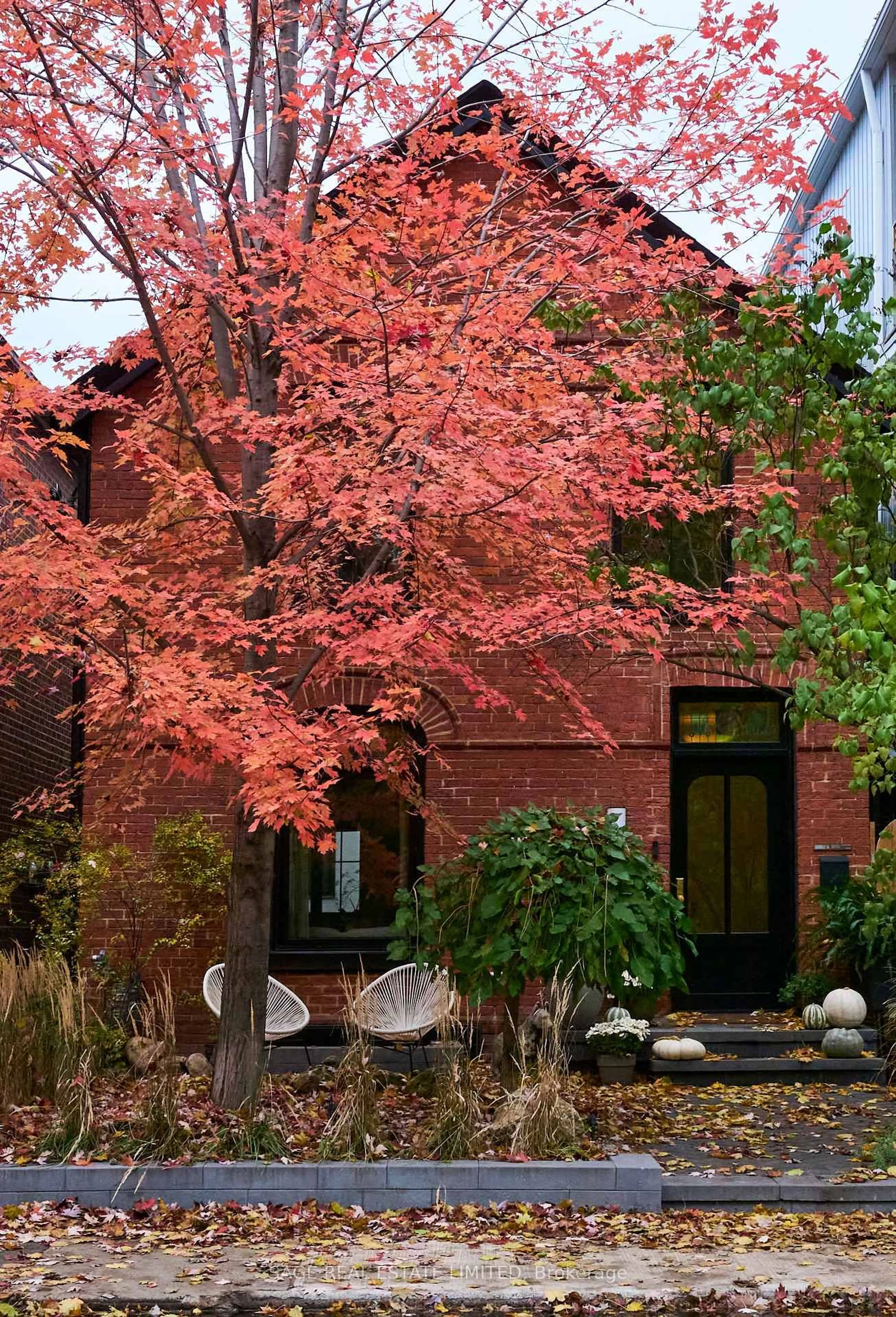 Home with brick exterior material, street for 239 Borden St, Toronto Ontario M5S 2N5