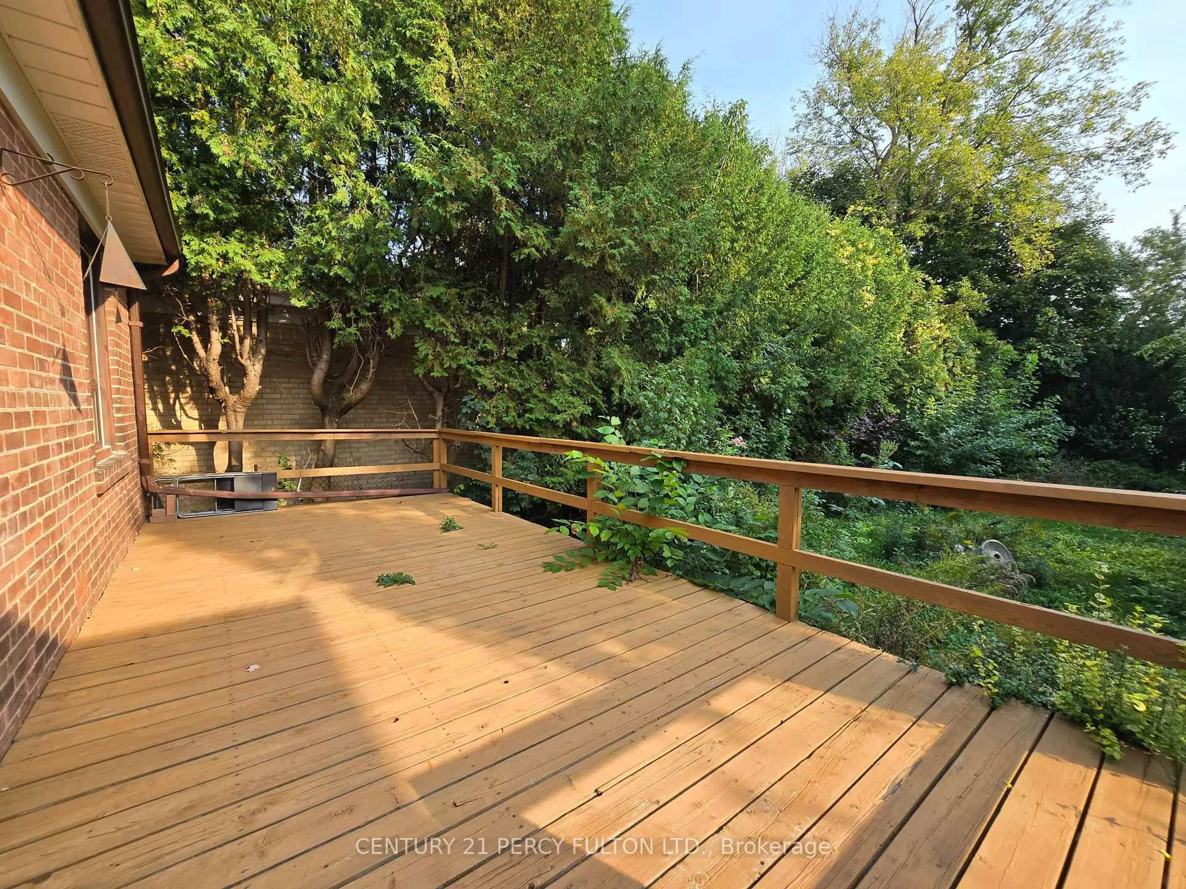 A pic from outside/outdoor area/front of a property/back of a property/a pic from drone, forest/trees view for 109 Norton Ave, Toronto Ontario M2N 4A4