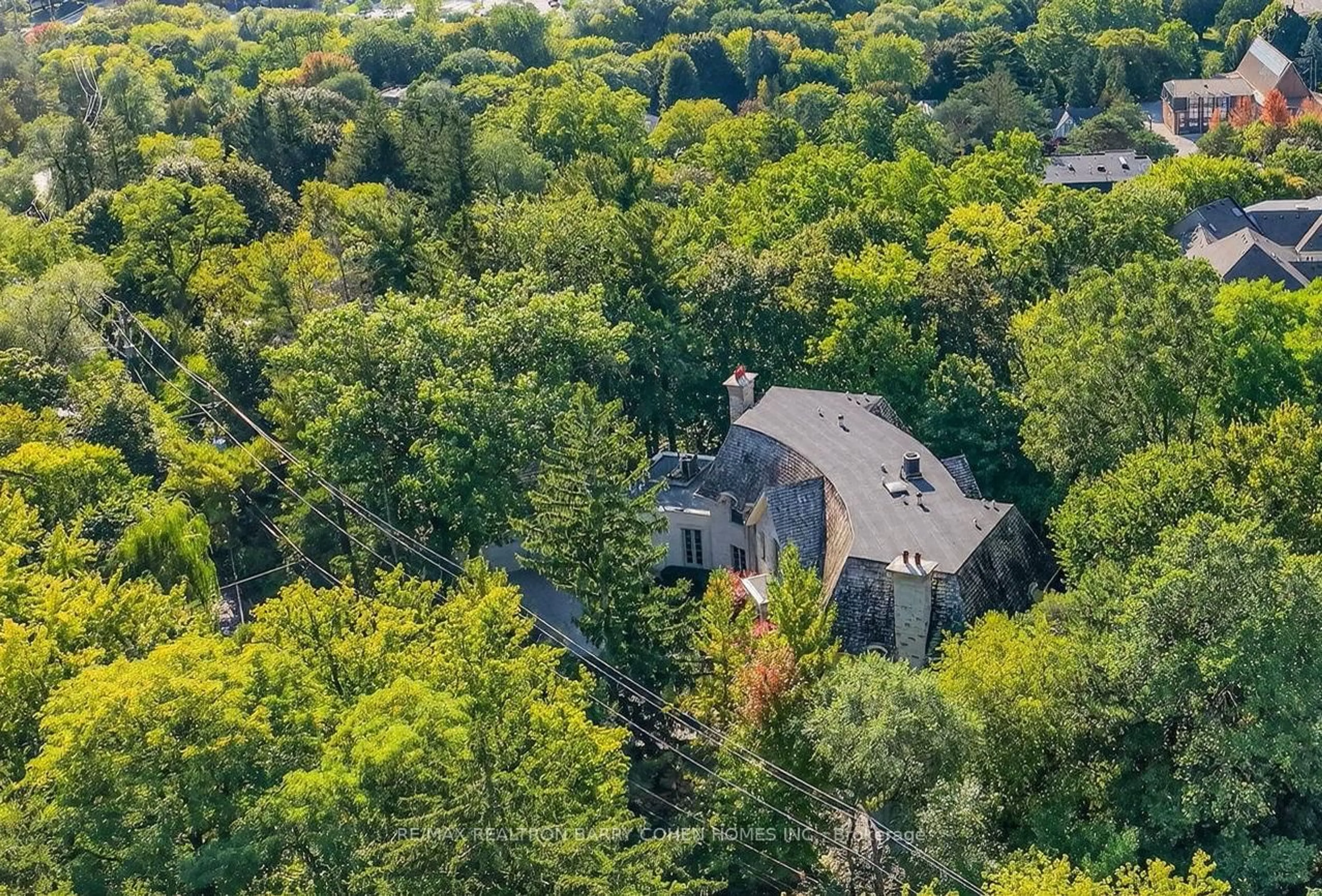 A pic from outside/outdoor area/front of a property/back of a property/a pic from drone, forest/trees view for 36 Old Yonge St, Toronto Ontario M2P 1P7