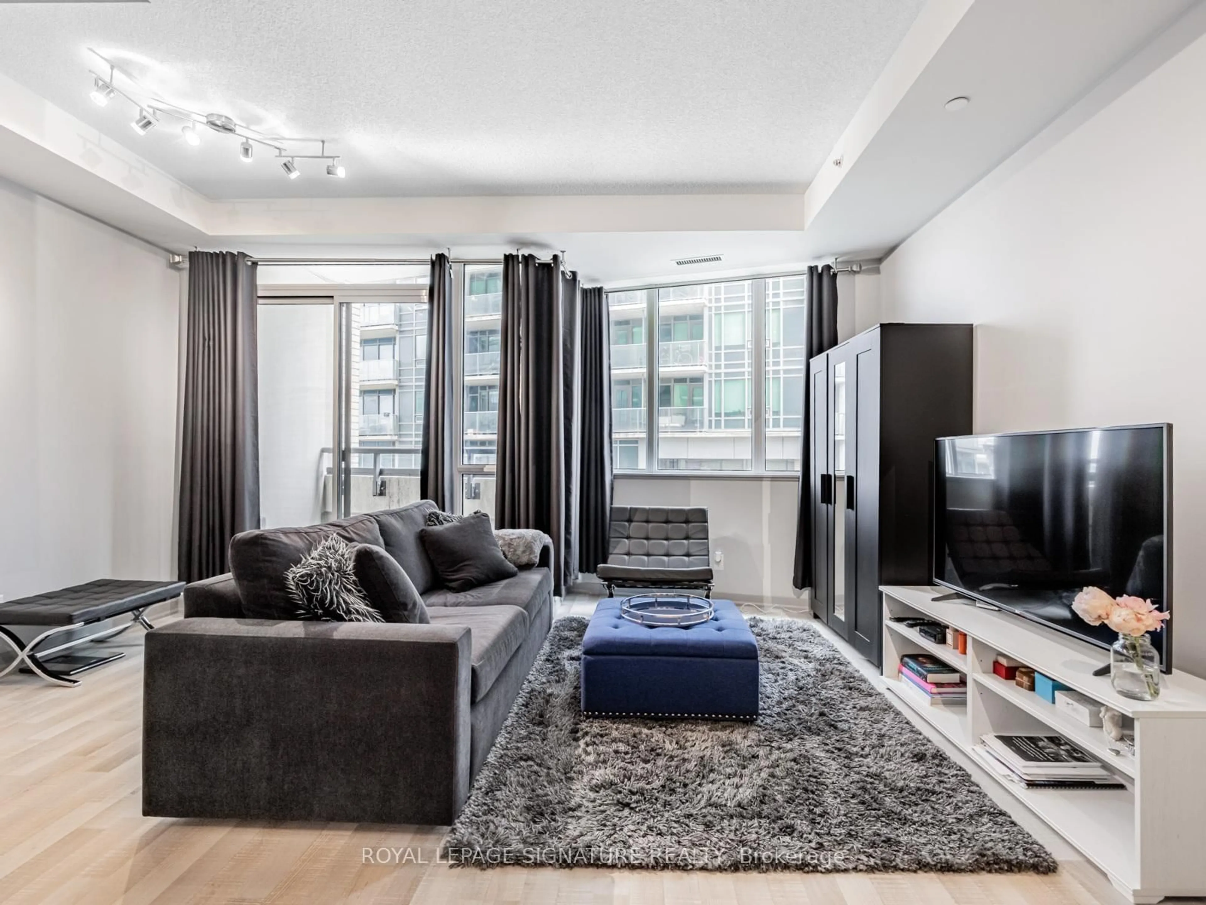 Living room with furniture, unknown for 51 East Liberty St #202, Toronto Ontario M6K 3P8