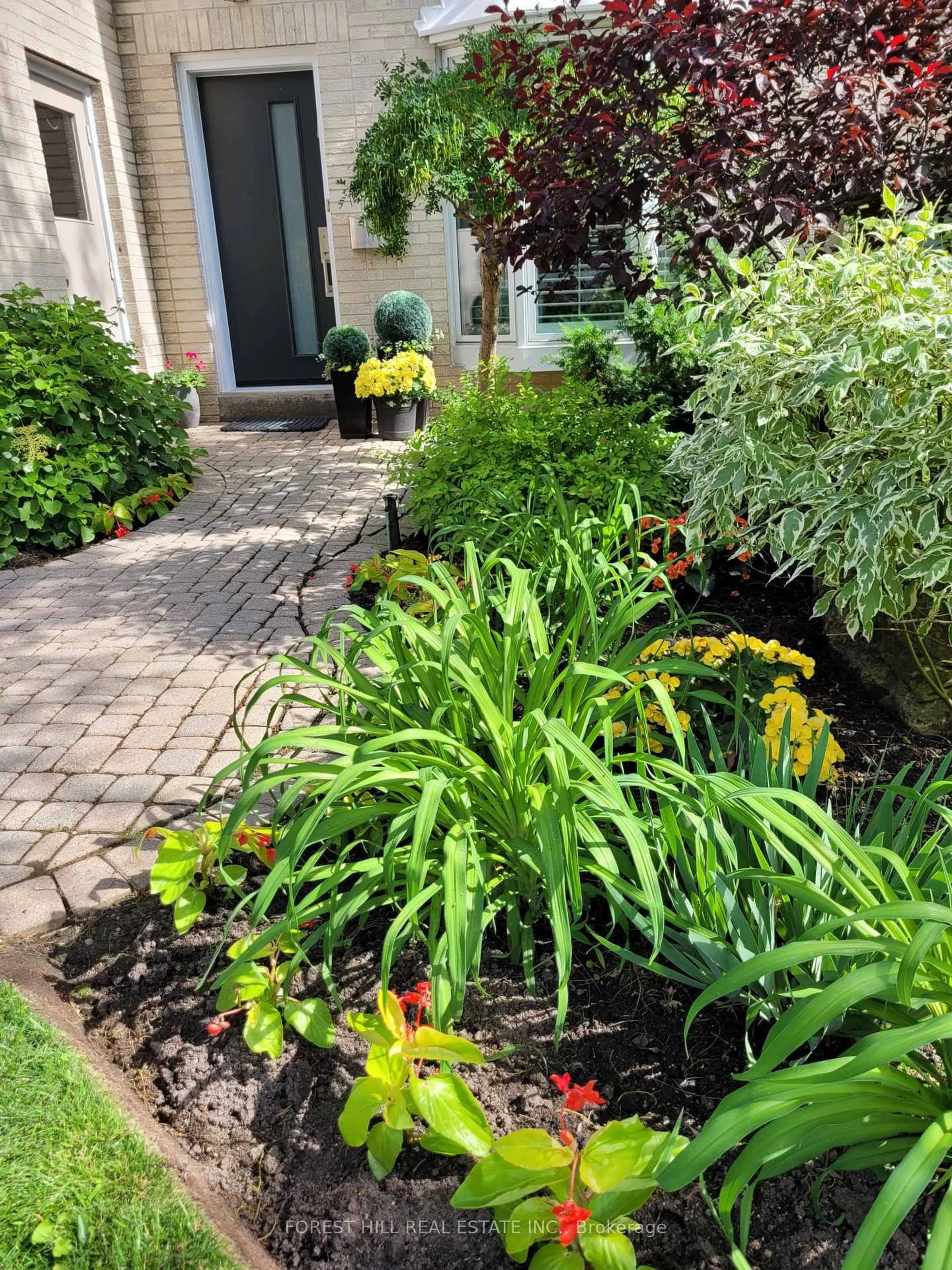 Patio, street for 33 Proudbank Millway Way #53, Toronto Ontario M2L 1P3