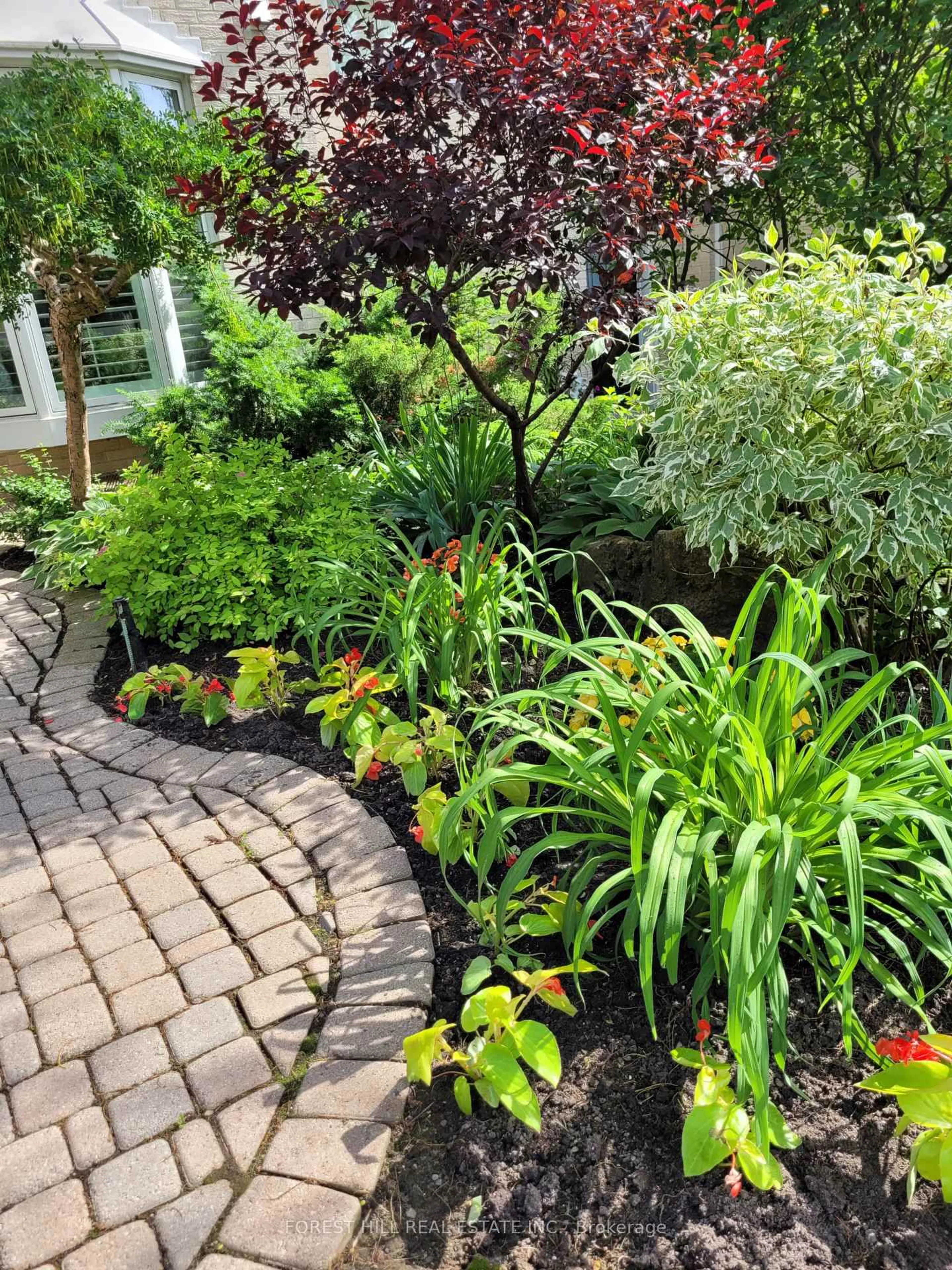Patio, street for 33 Proudbank Millway Way #53, Toronto Ontario M2L 1P3