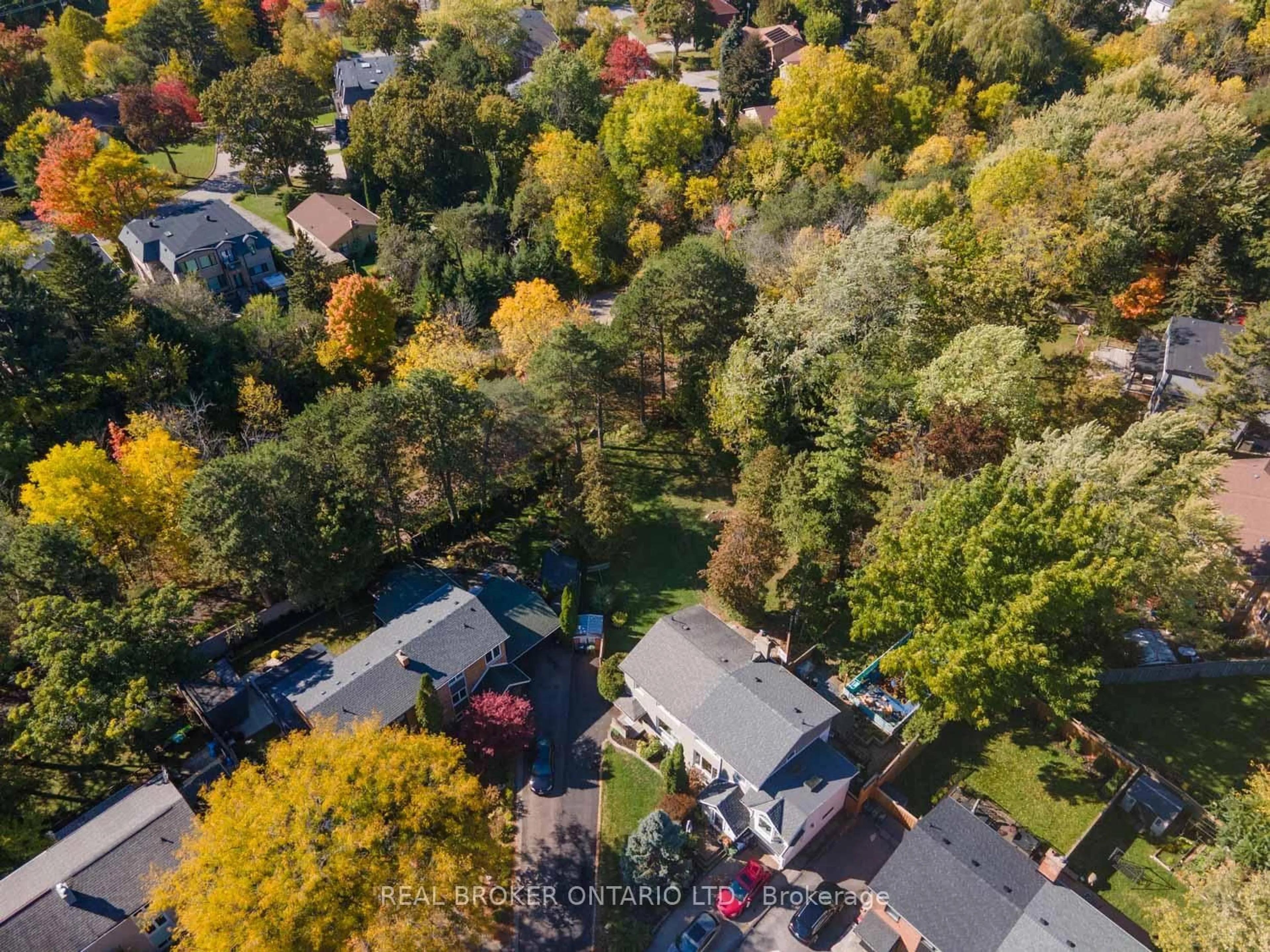 A pic from outside/outdoor area/front of a property/back of a property/a pic from drone, forest/trees view for 29 Veery Pl, Toronto Ontario M3C 2C9