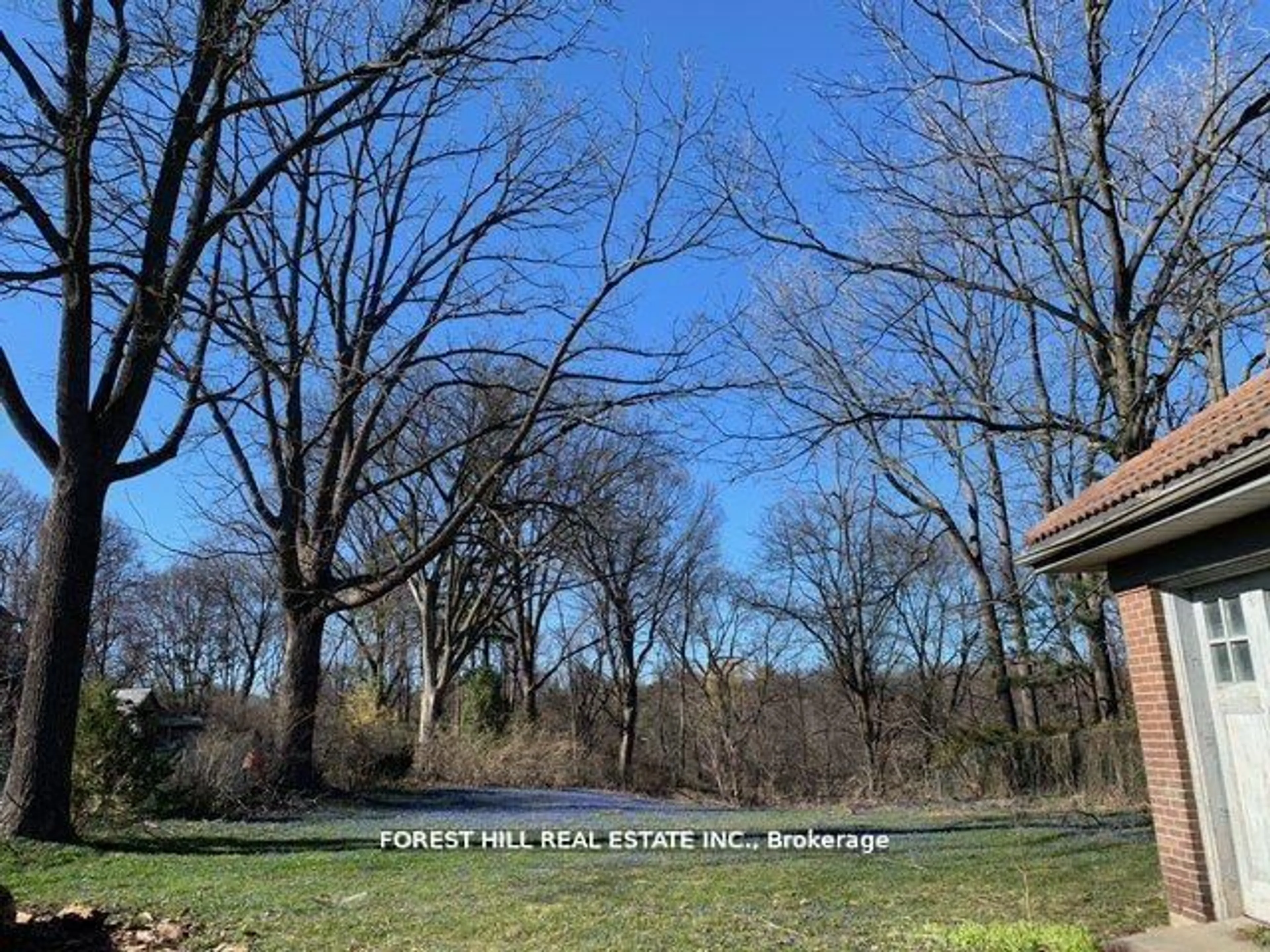 A pic from outside/outdoor area/front of a property/back of a property/a pic from drone, forest/trees view for 132 Blythwood Rd, Toronto Ontario M4N 1A4