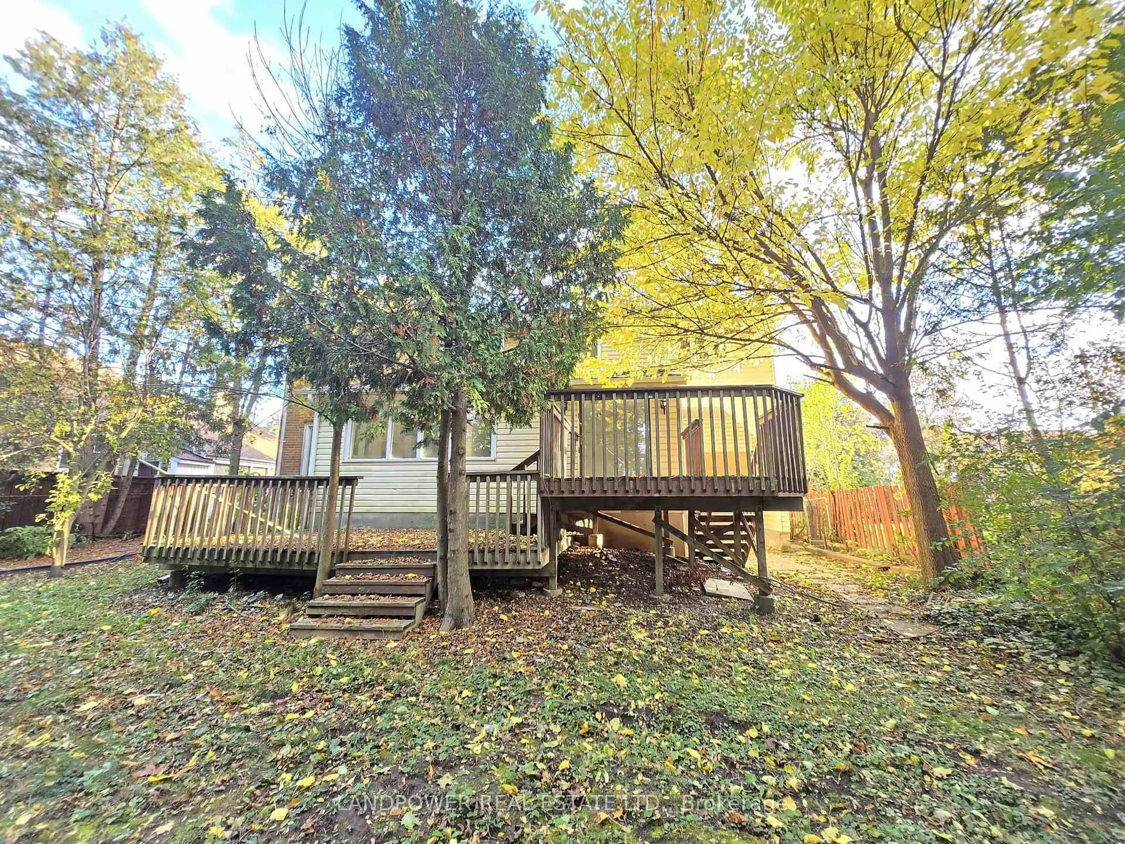 A pic from outside/outdoor area/front of a property/back of a property/a pic from drone, forest/trees view for 16 Glenelia Ave, Toronto Ontario M2M 2K7