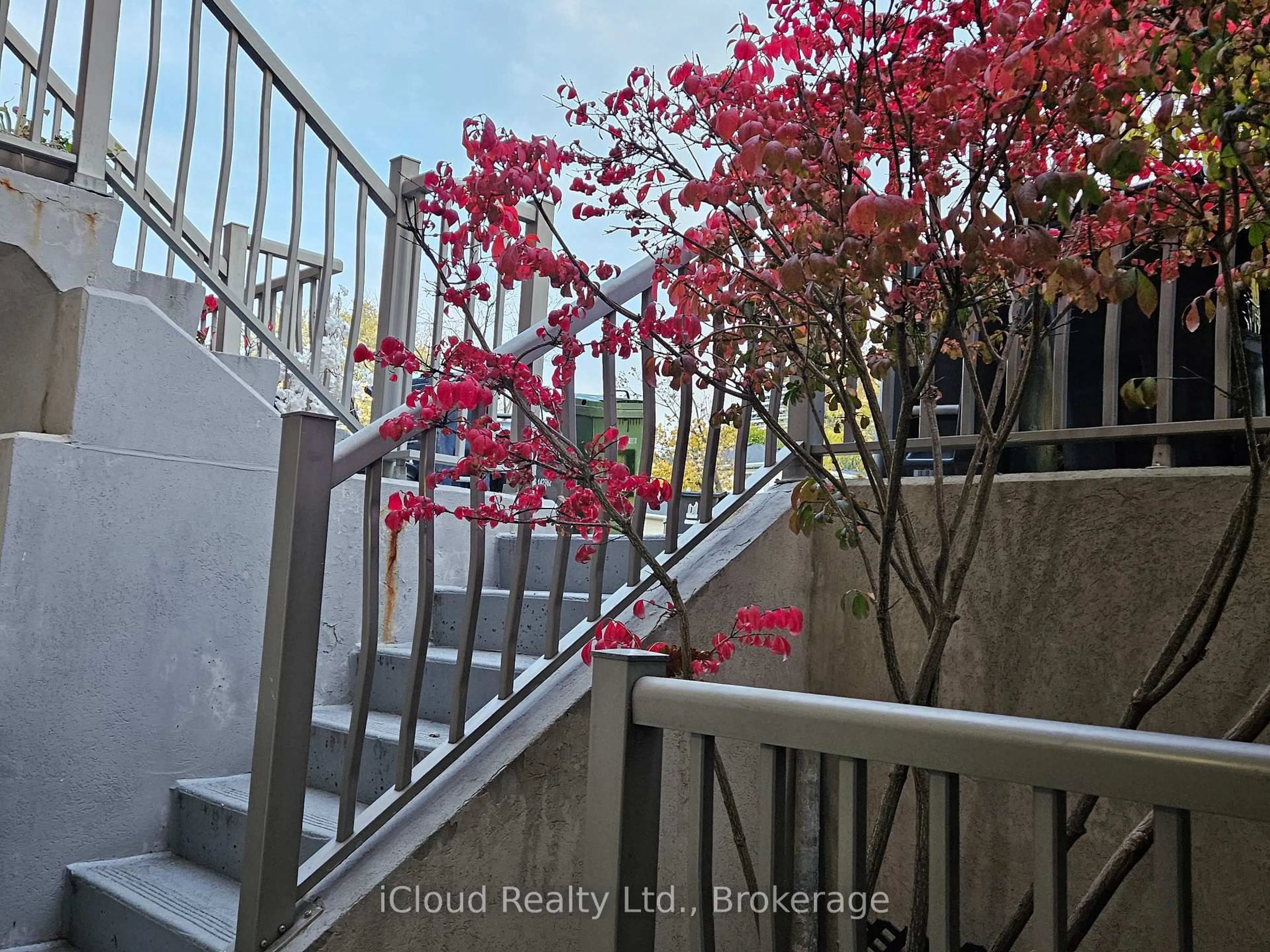 Unknown for 285 Antibes Dr #11, Toronto Ontario M2R 3X9