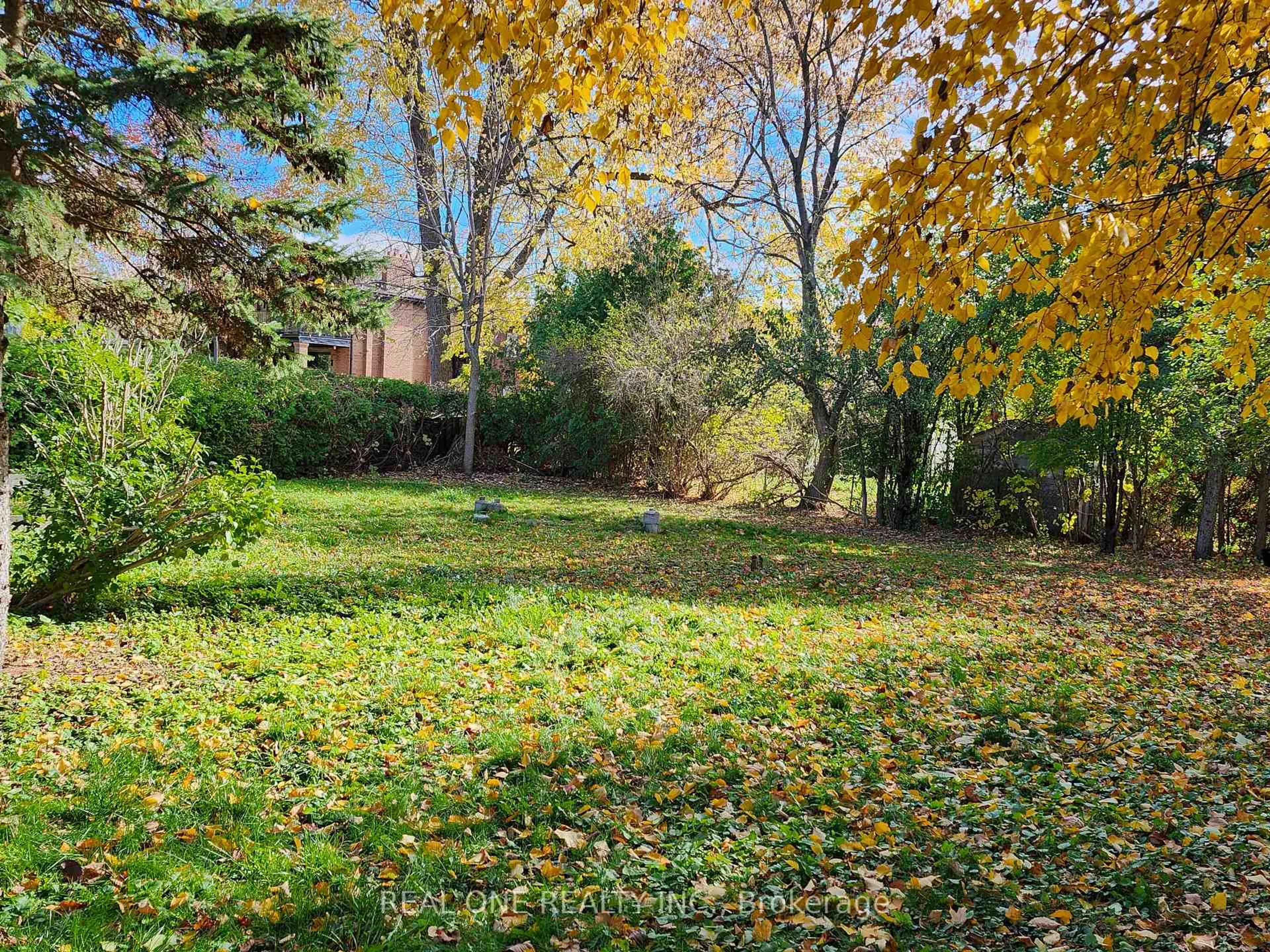 A pic from outside/outdoor area/front of a property/back of a property/a pic from drone, forest/trees view for 33 Urbandale Ave, Toronto Ontario M2M 2G9