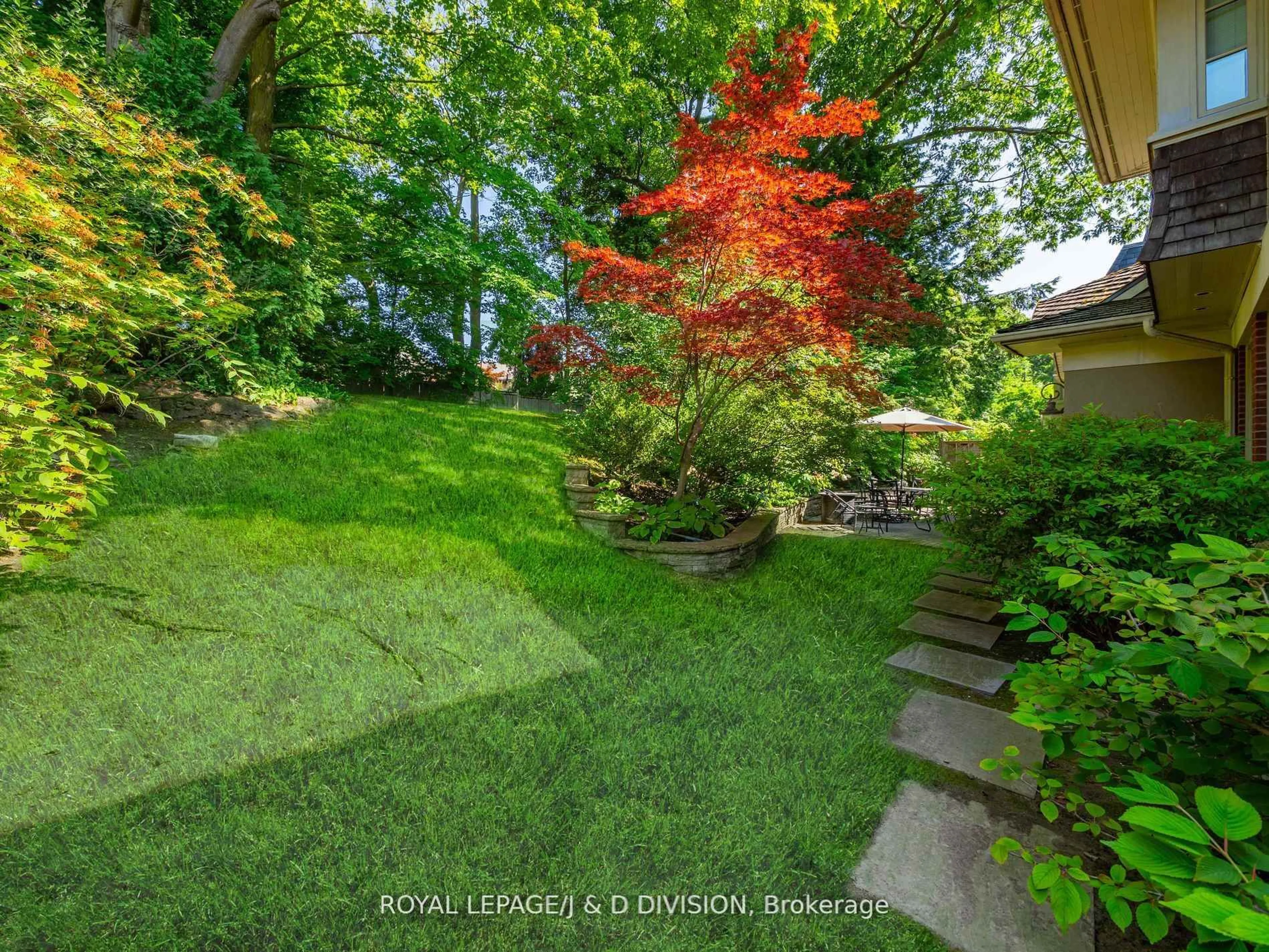 A pic from outside/outdoor area/front of a property/back of a property/a pic from drone, forest/trees view for 8 Glenallan Rd, Toronto Ontario M4N 1G7