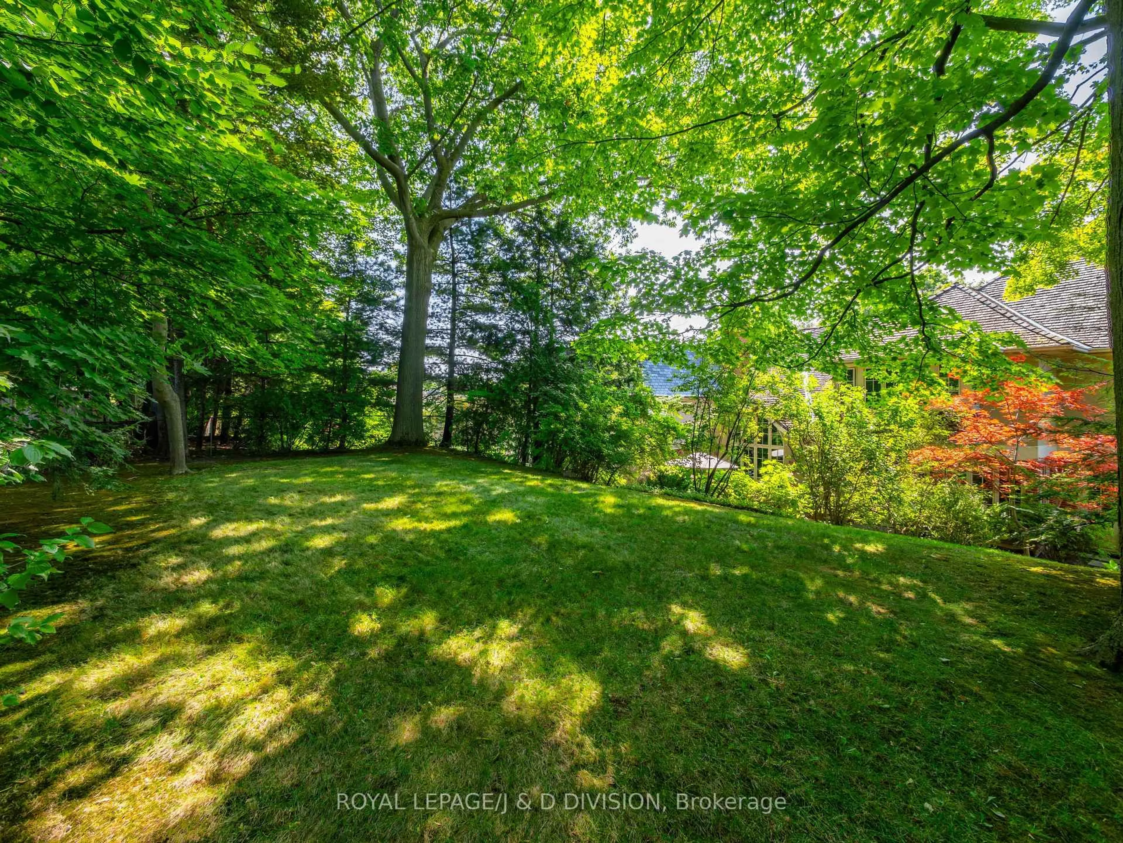 A pic from outside/outdoor area/front of a property/back of a property/a pic from drone, forest/trees view for 8 Glenallan Rd, Toronto Ontario M4N 1G7