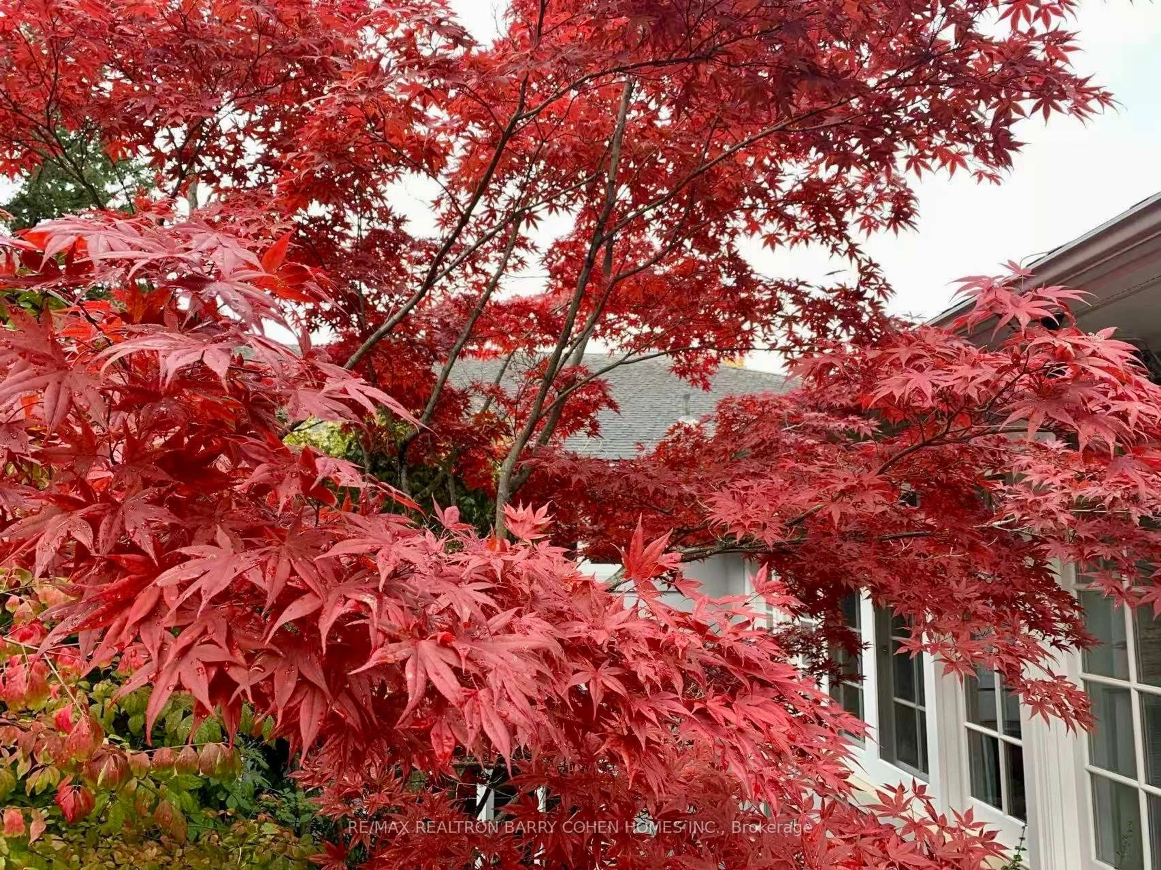 Unknown for 80 Bayview Rdge, Toronto Ontario M2L 1E6