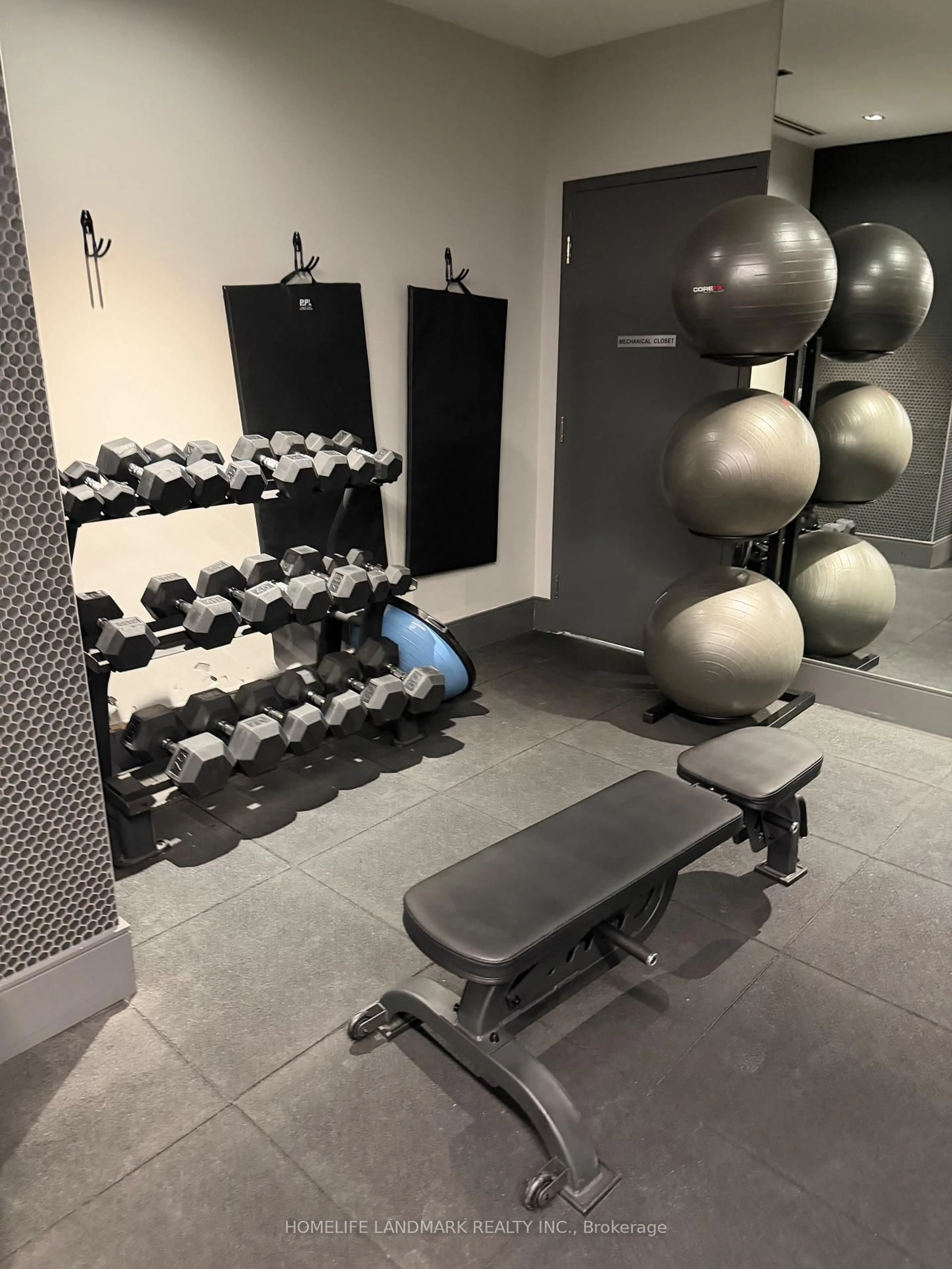Gym or fitness room for 8 Widmer St #1110, Toronto Ontario M5V 0W6