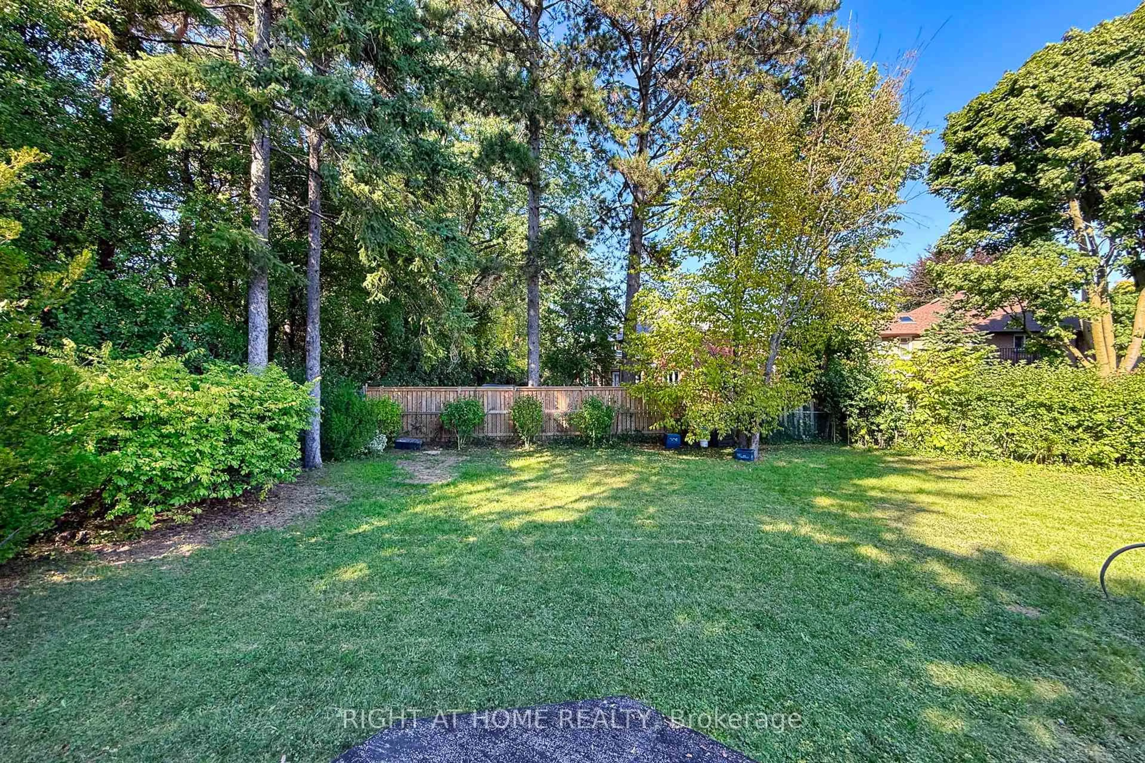 Patio, forest/trees view for 32 Donna Crt, Toronto Ontario M2M 2C8