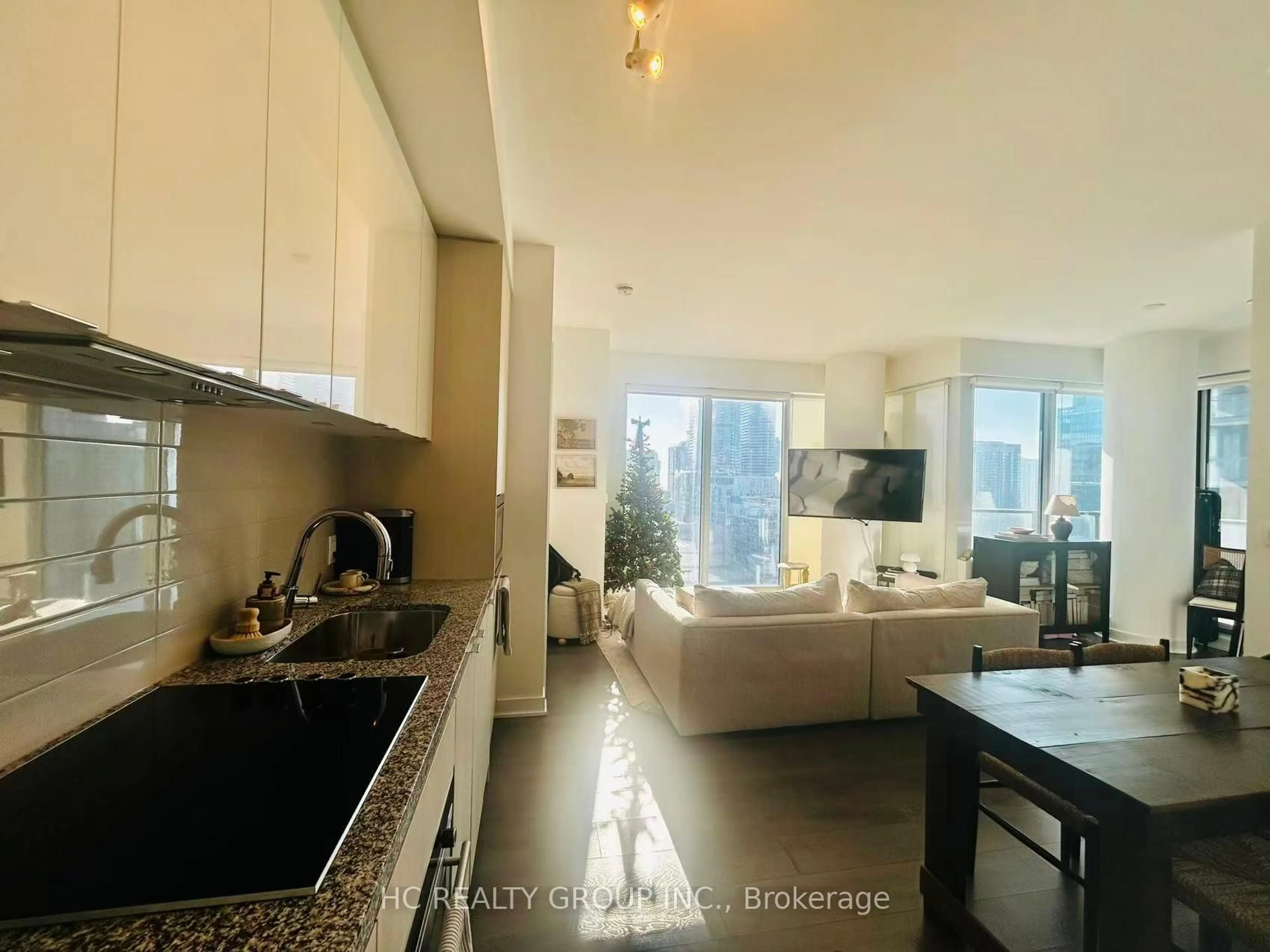 Open concept kitchen, unknown for 115 Blue Jays Way #3005, Toronto Ontario M5V 0N4