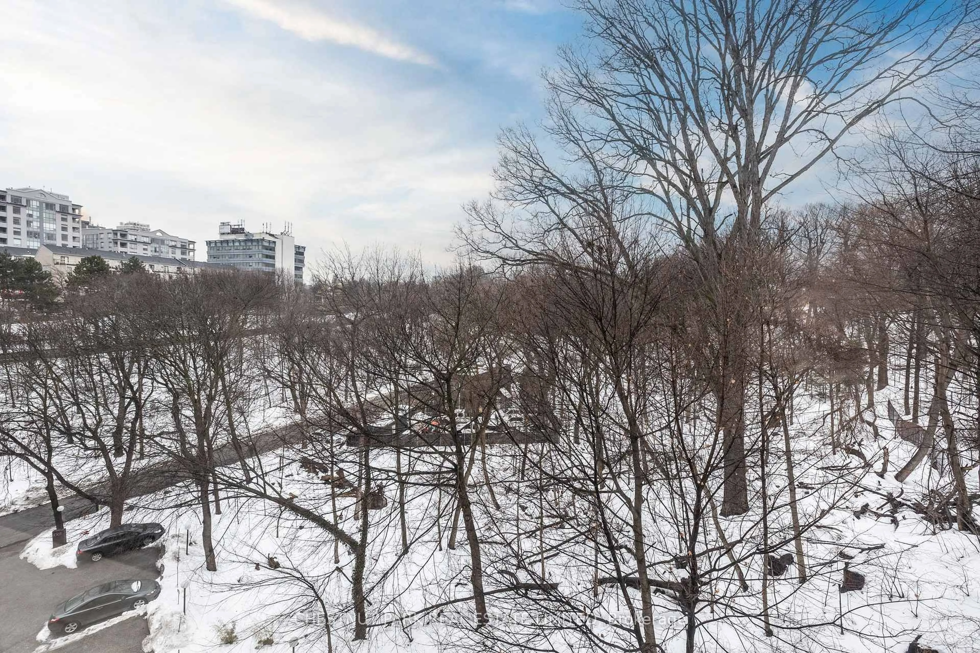 A pic from outside/outdoor area/front of a property/back of a property/a pic from drone, forest/trees view for 120 Rosedale Valley Rd #507, Toronto Ontario M4W 1P8