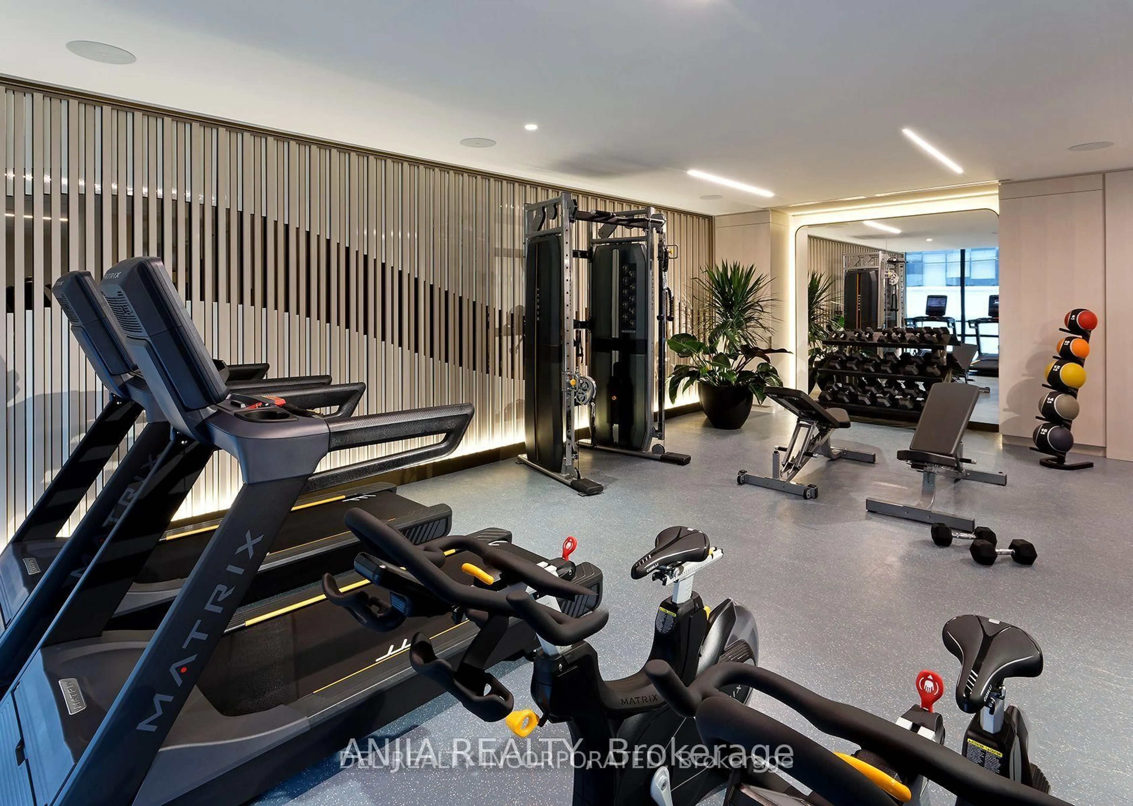 Gym or fitness room for 480 Front St #1011, Toronto Ontario M5V 0V5